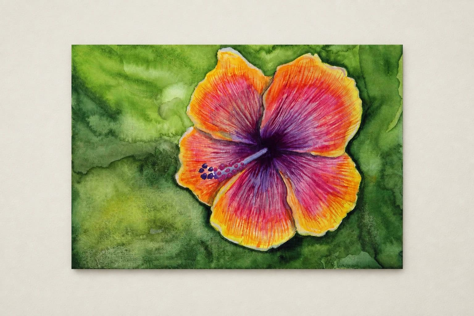 Hibiscus