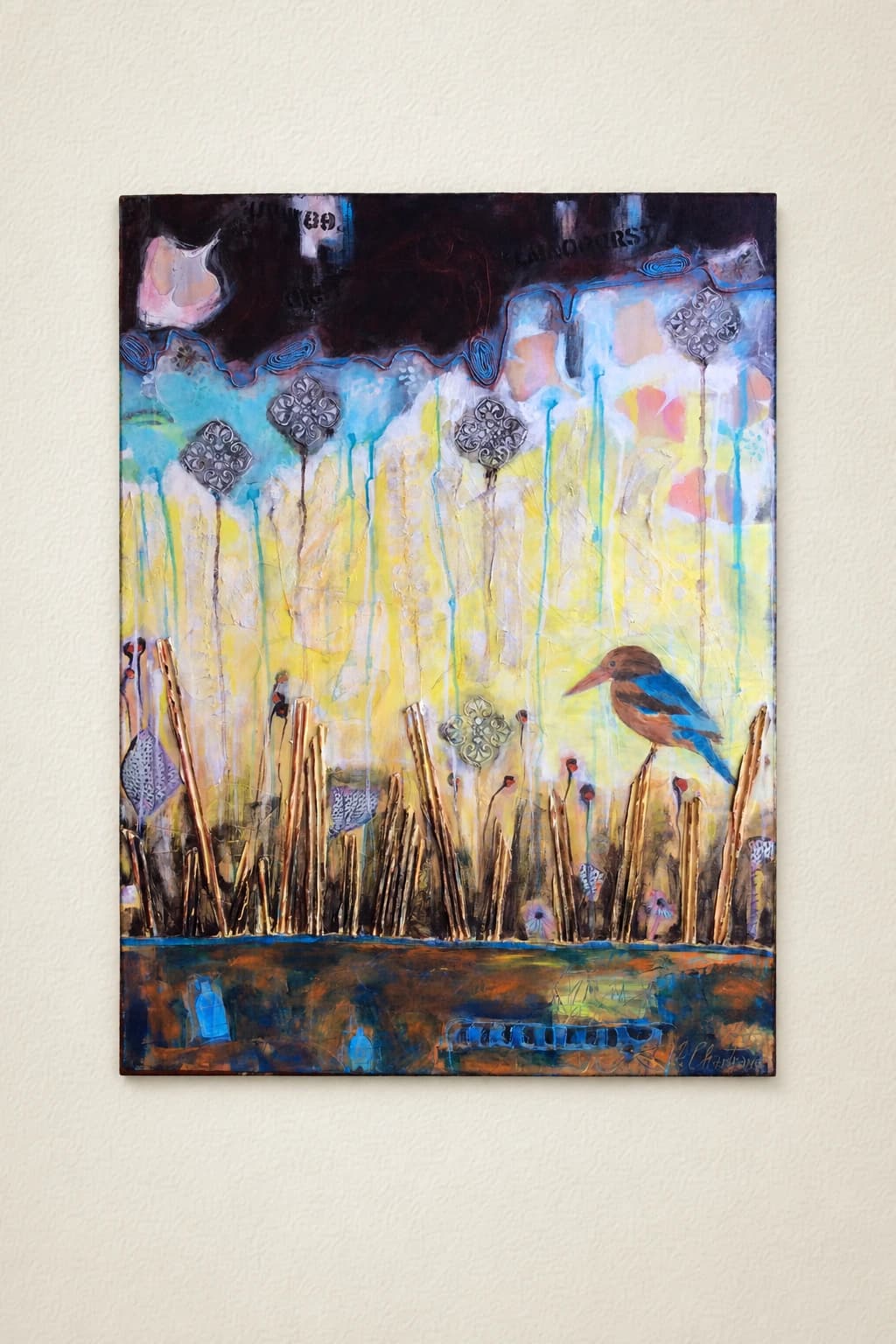 Alcedo