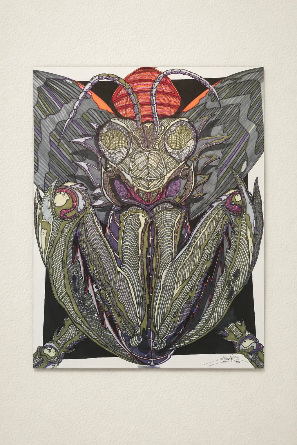 Mantis Religieuse.