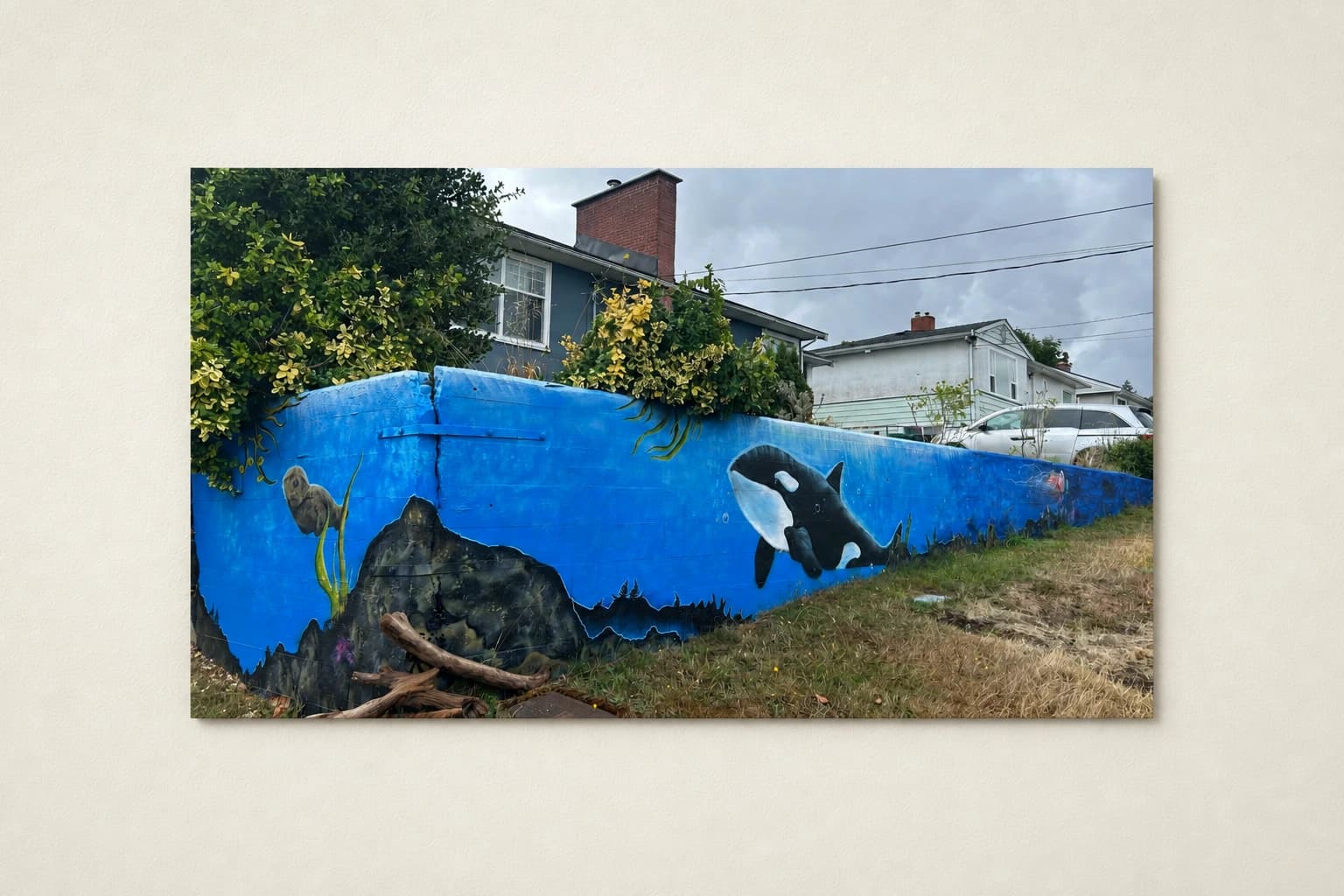 Marine Mural — Nanaimo