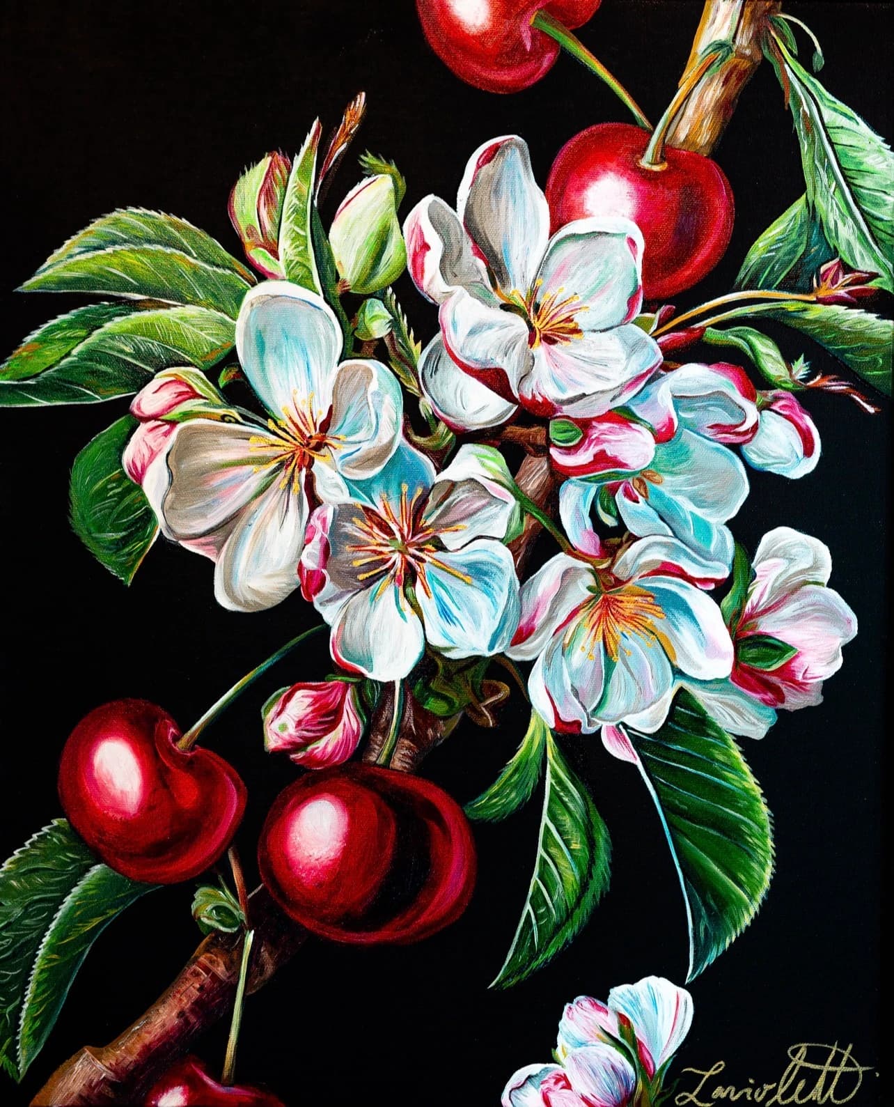 Printemps des cerisiers - Pamela Laviolette