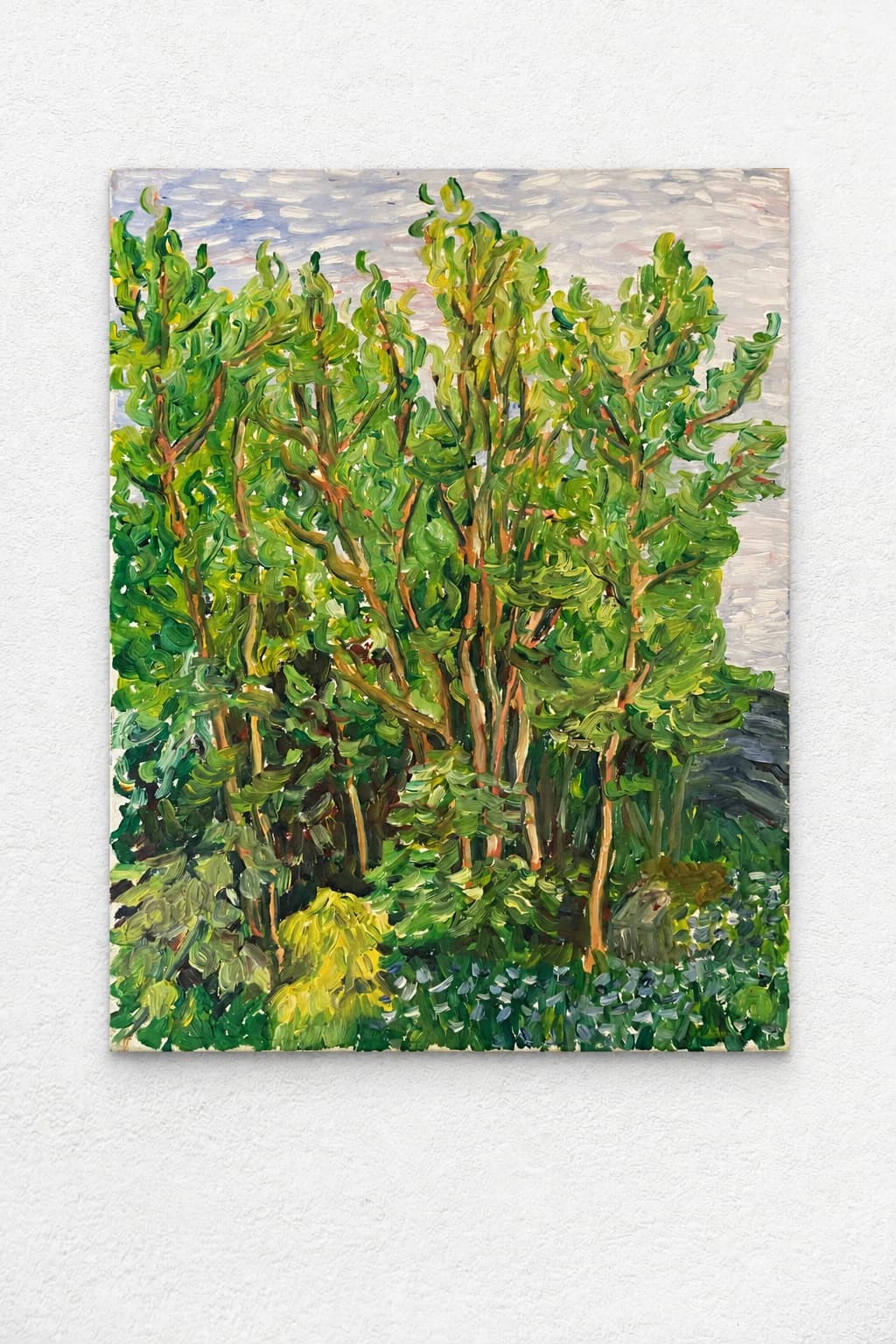 Trees, Sherbrooke