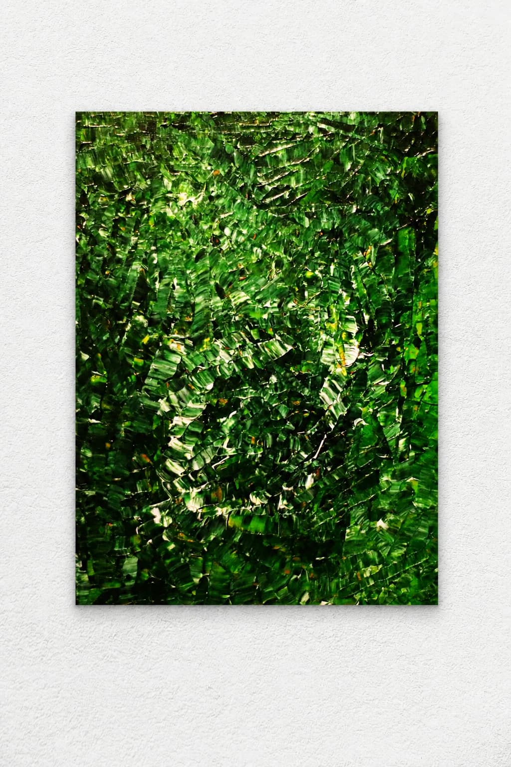 Forêt pluviale