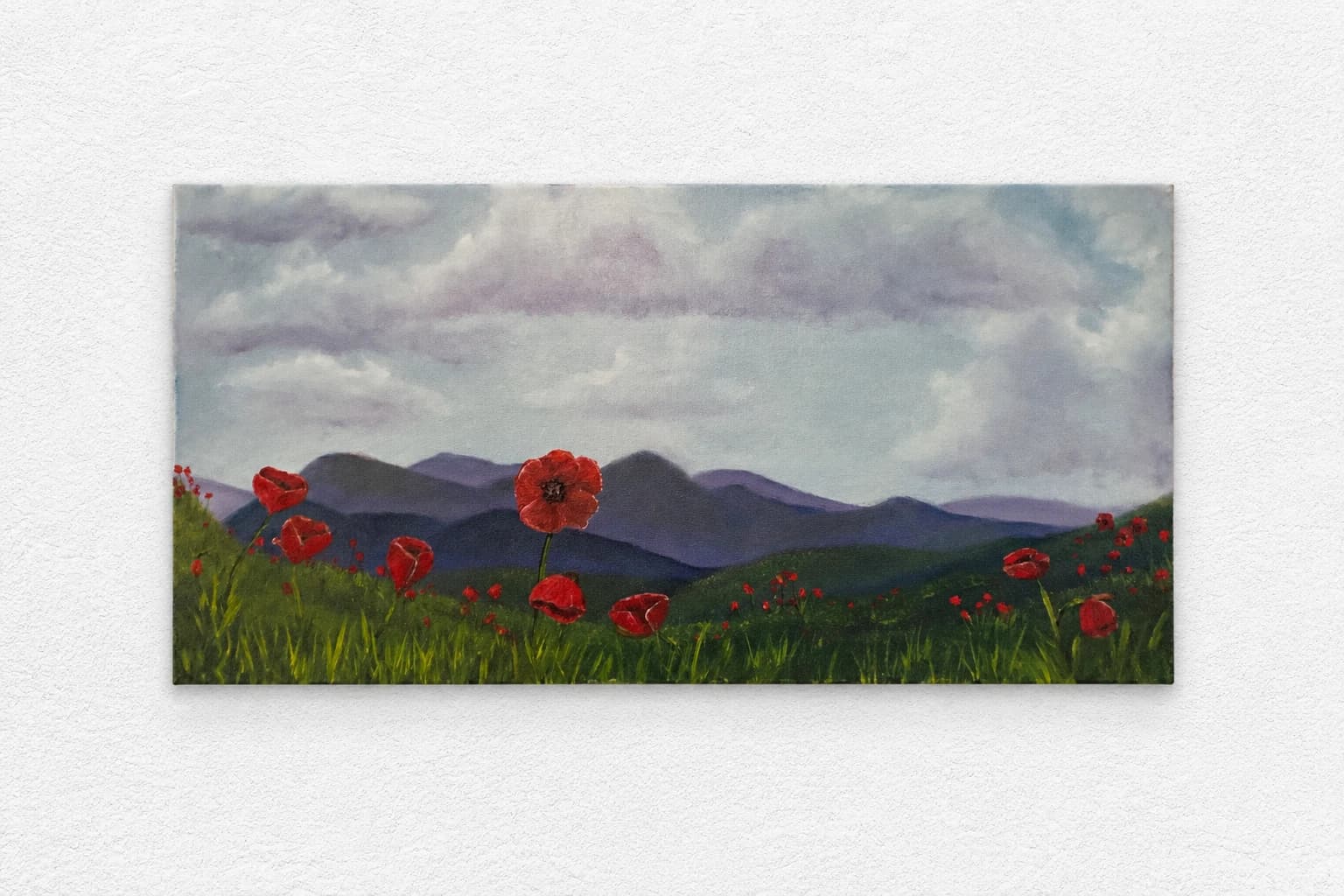 Coquelicots dans les contreforts