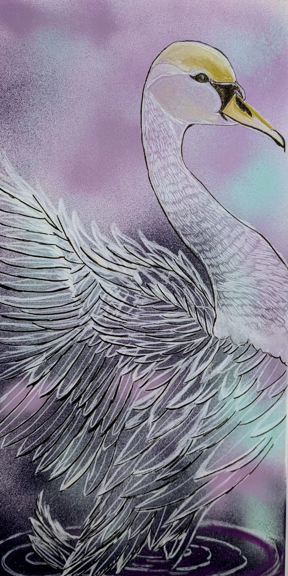 L'OISEAU - Allan
