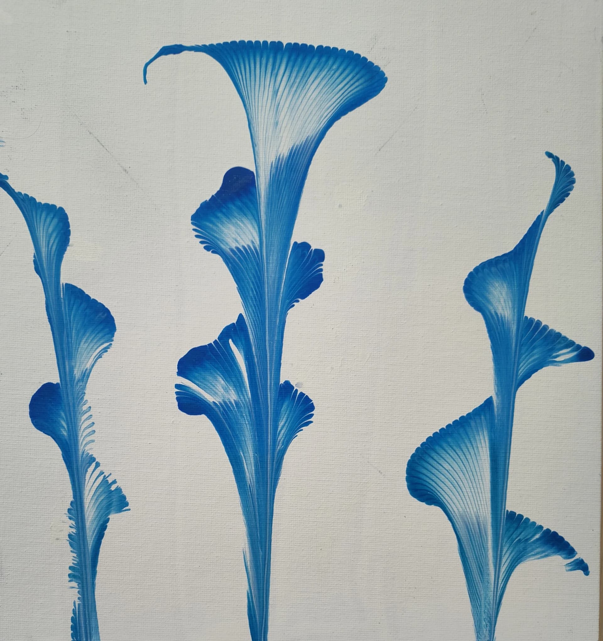 Fanciful Flowers