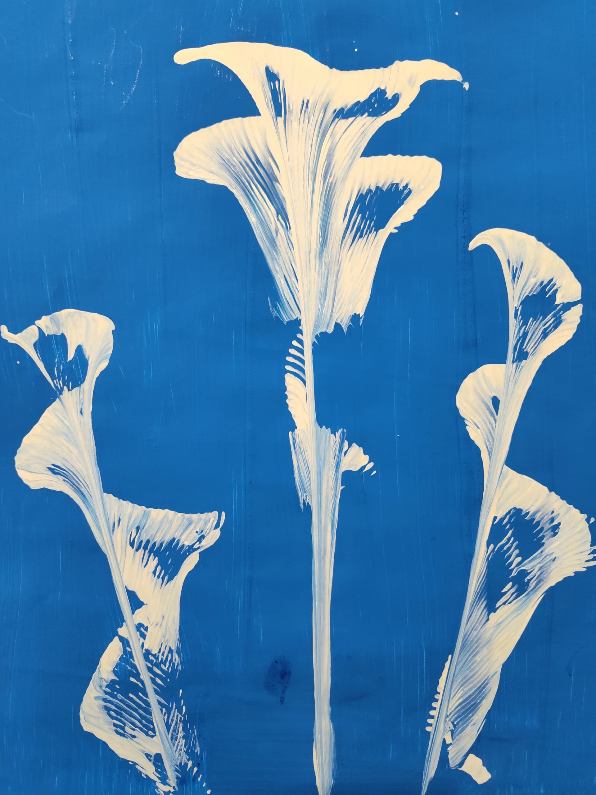 White flowers - Jean Marie Patty 