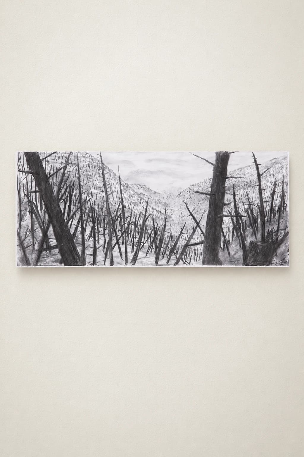 Feu de forêt I - Sylvain Thérien