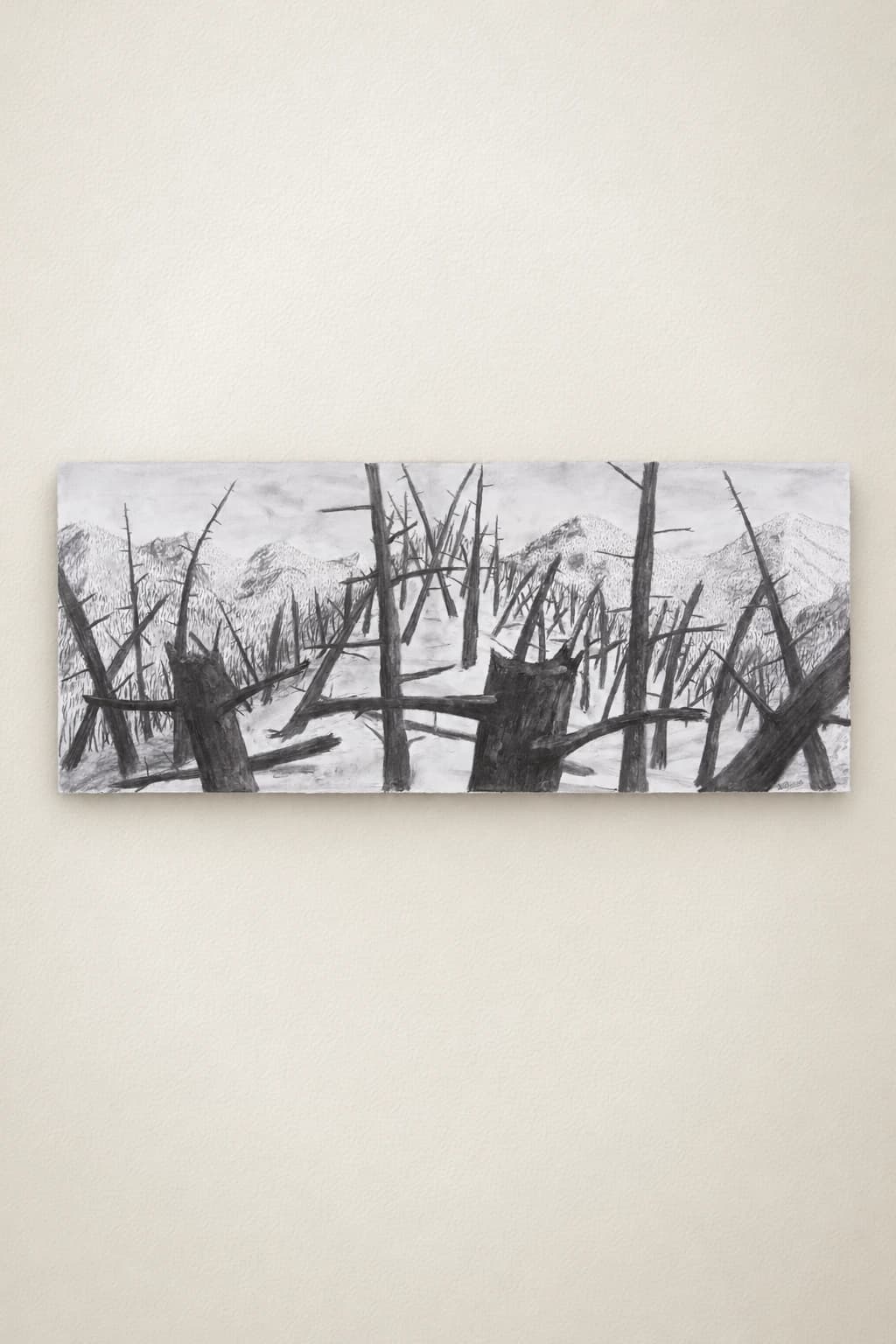 Feu de forêt II - Sylvain Thérien