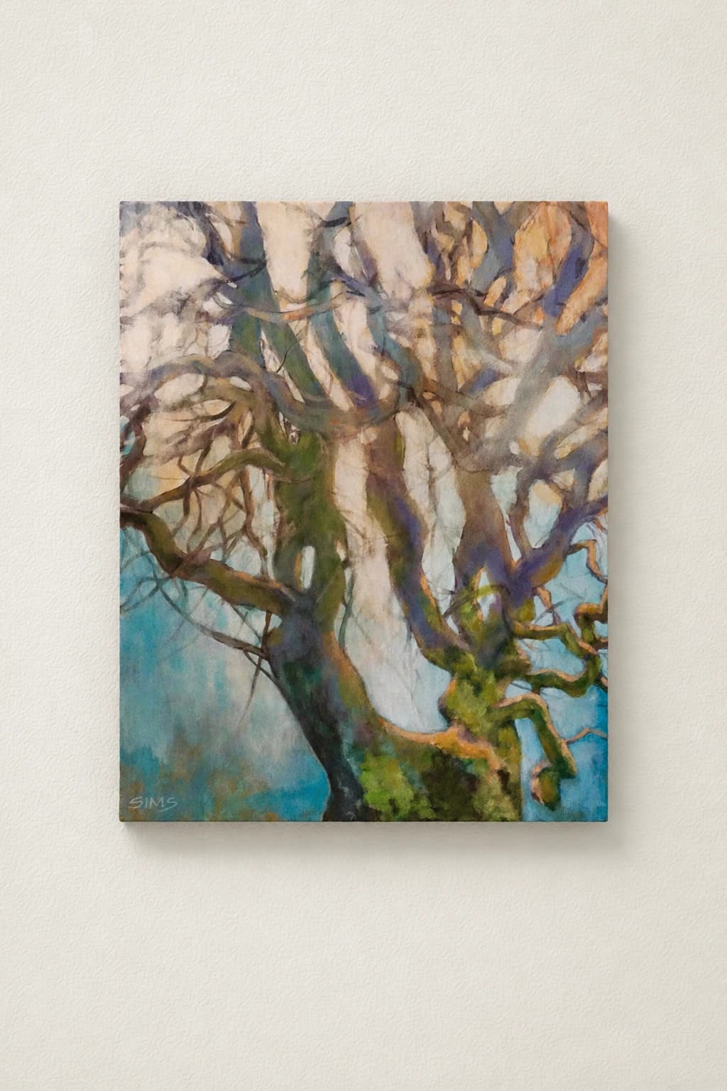 Arbre aux branches tortueuses