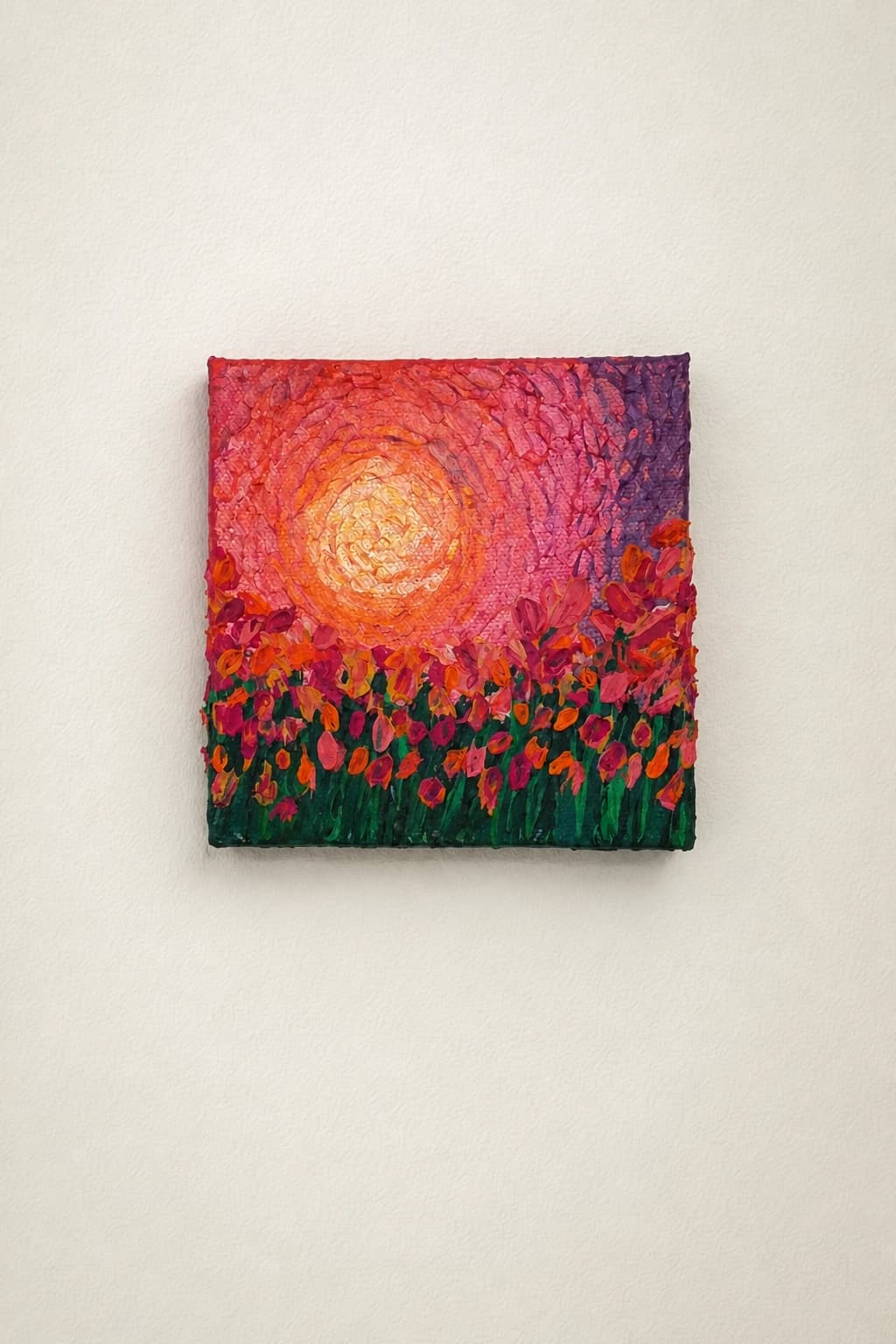 Soleil sur champ fleuri