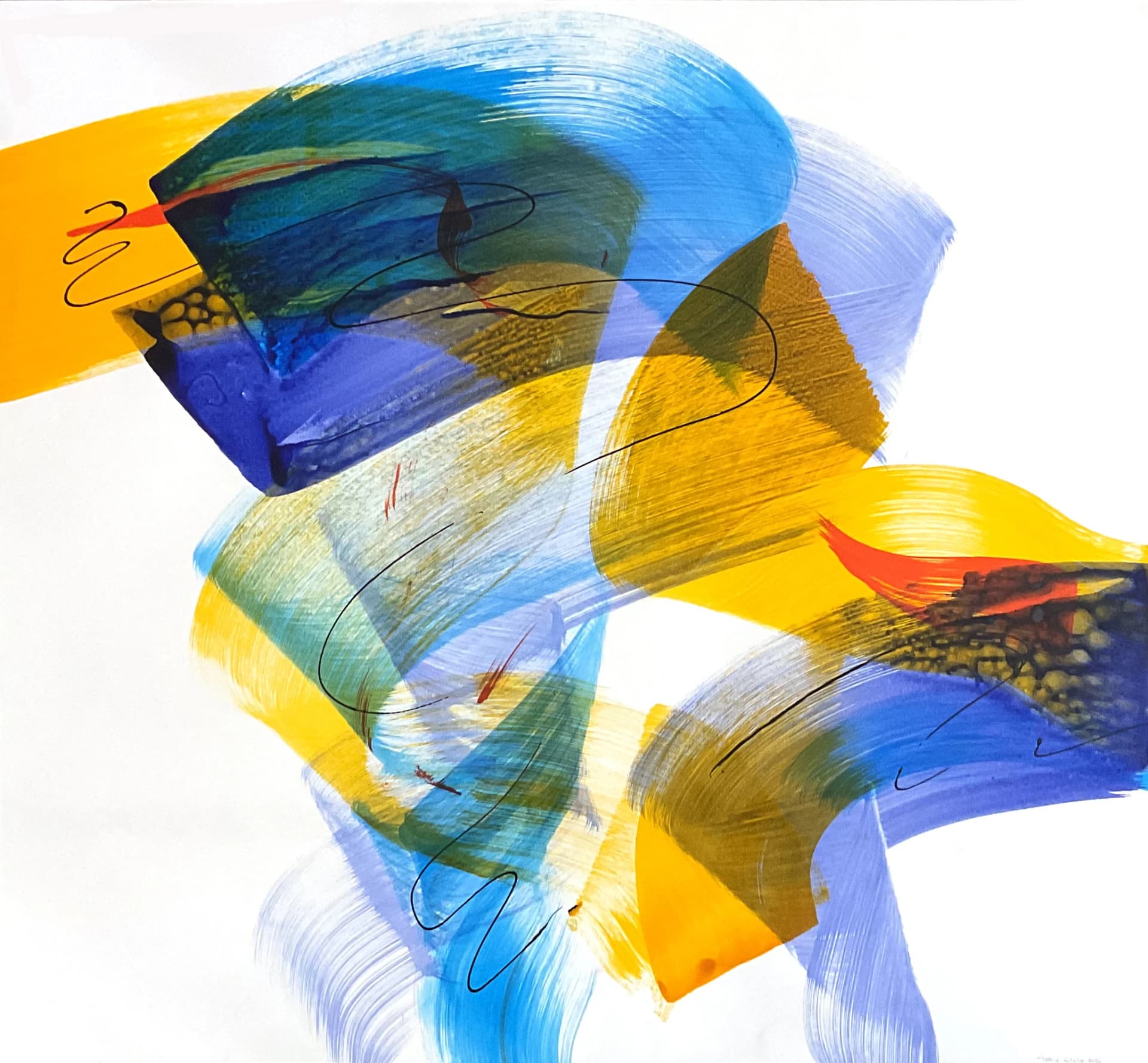 Danse des Couleurs