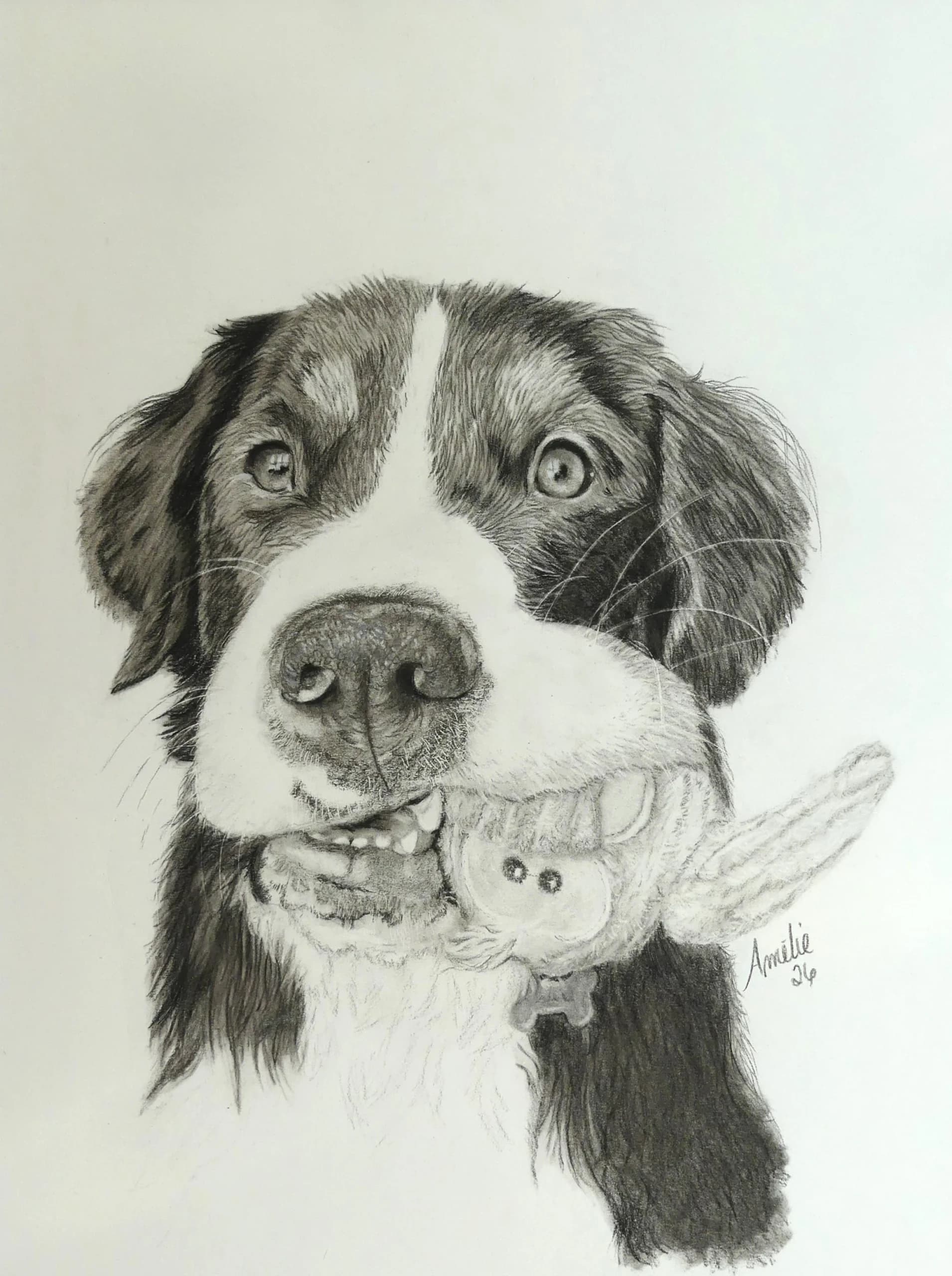 Le chien à la peluche