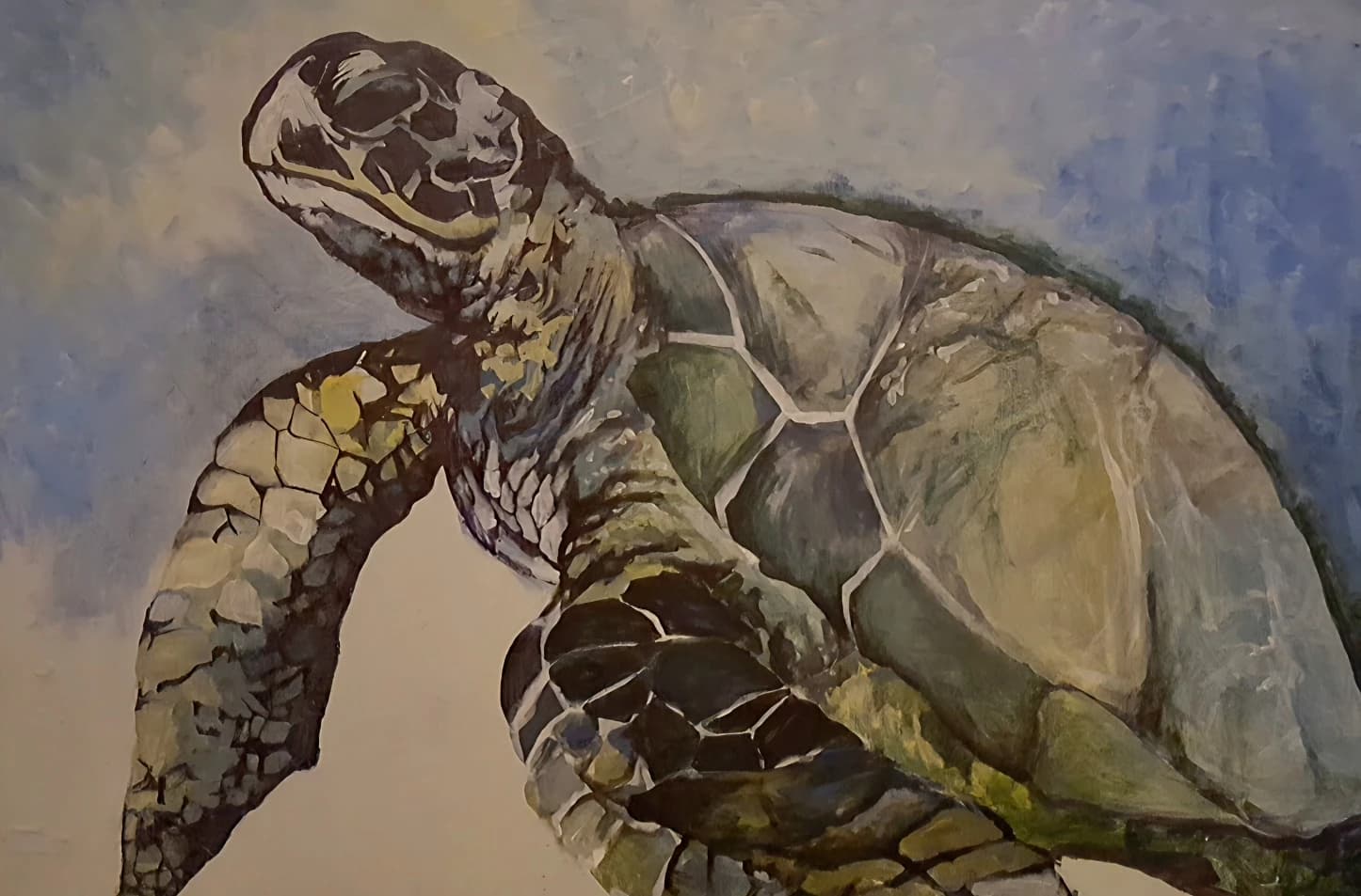 Le turtle