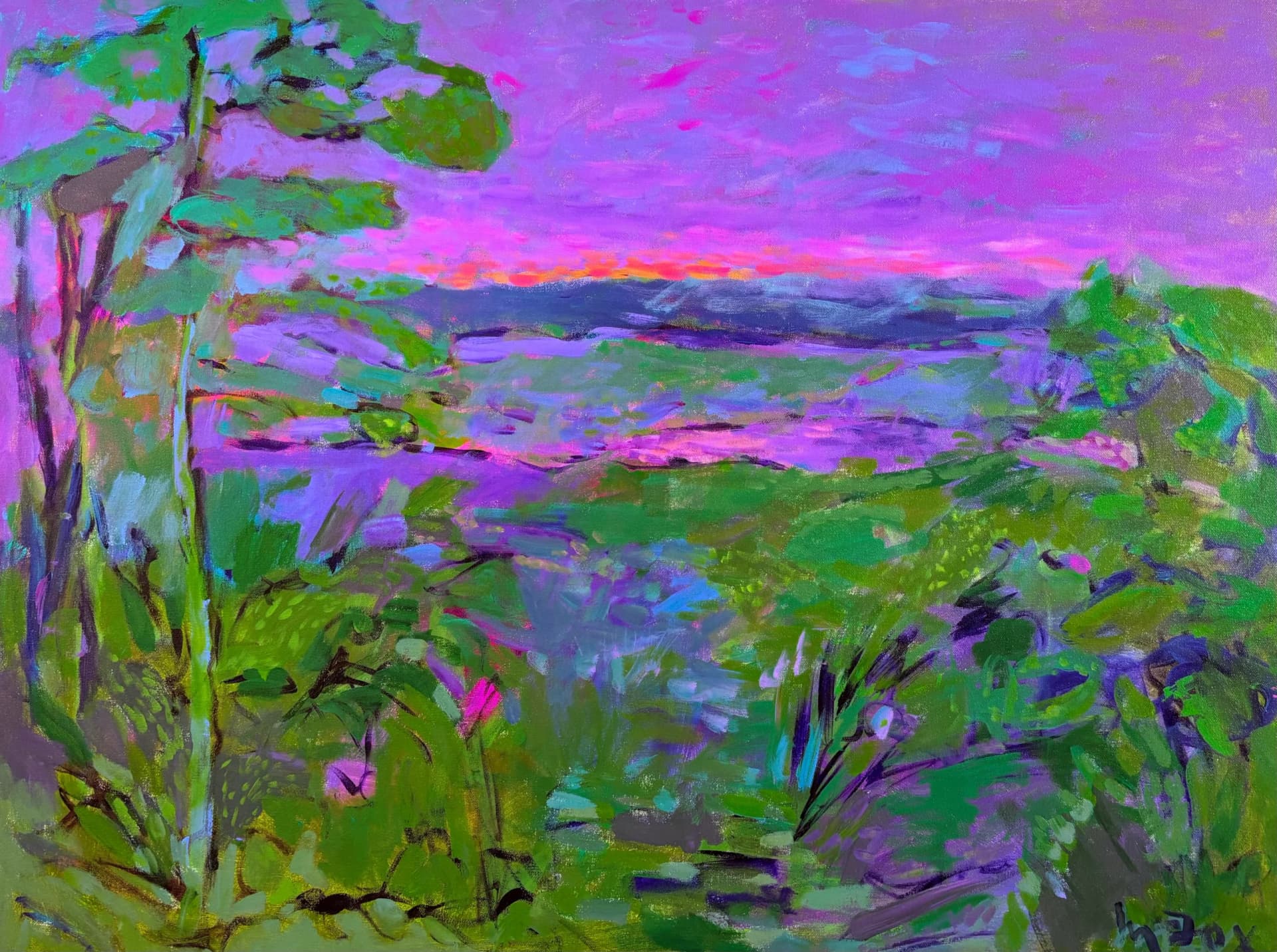 Paysage aux teintes violettes
