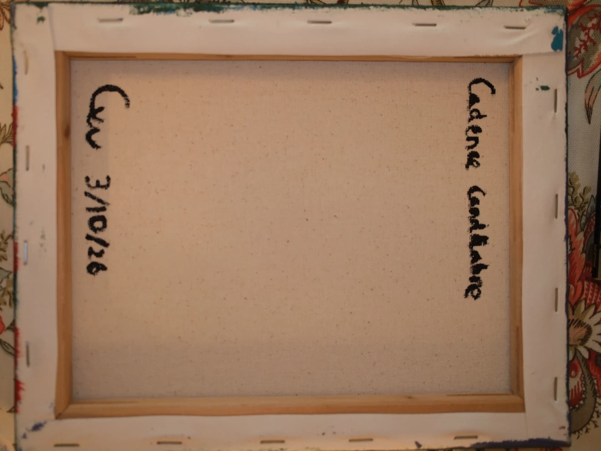 Photo 4