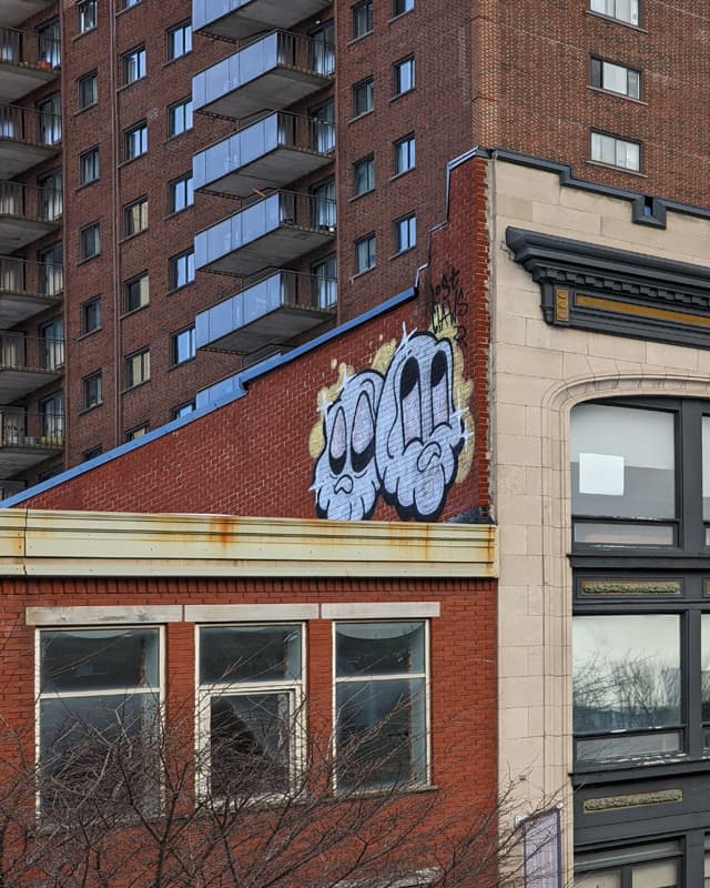 Lost Claws on a St-Laurent roof