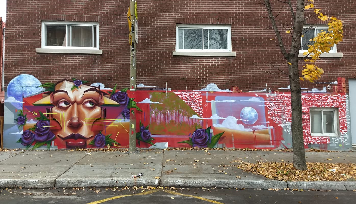 left half of a Monk.e wall in Hochelaga