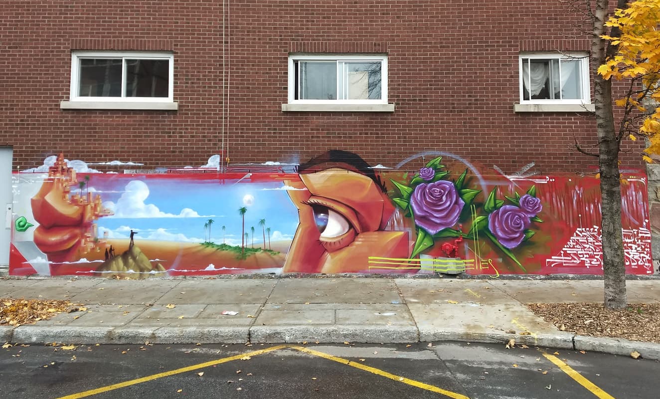 right half of a Monk.e wall in Hochelaga