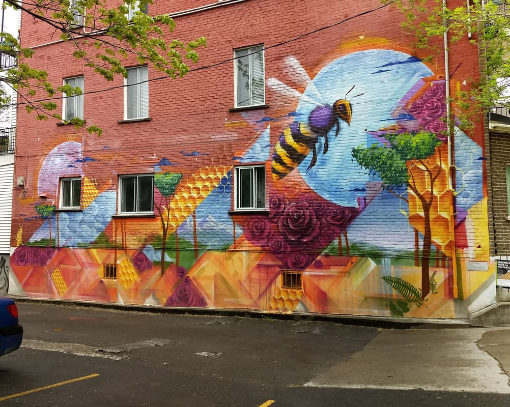 Monk.e for Ashop, in Hochelaga