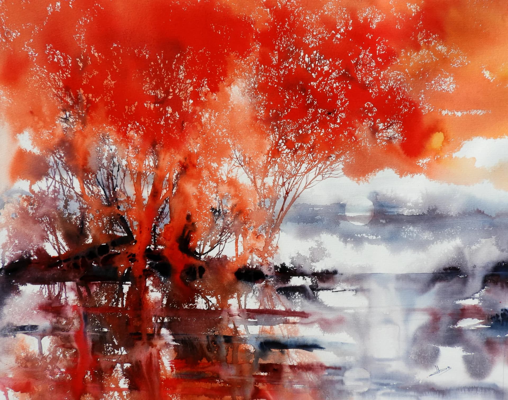The Forest on Fire