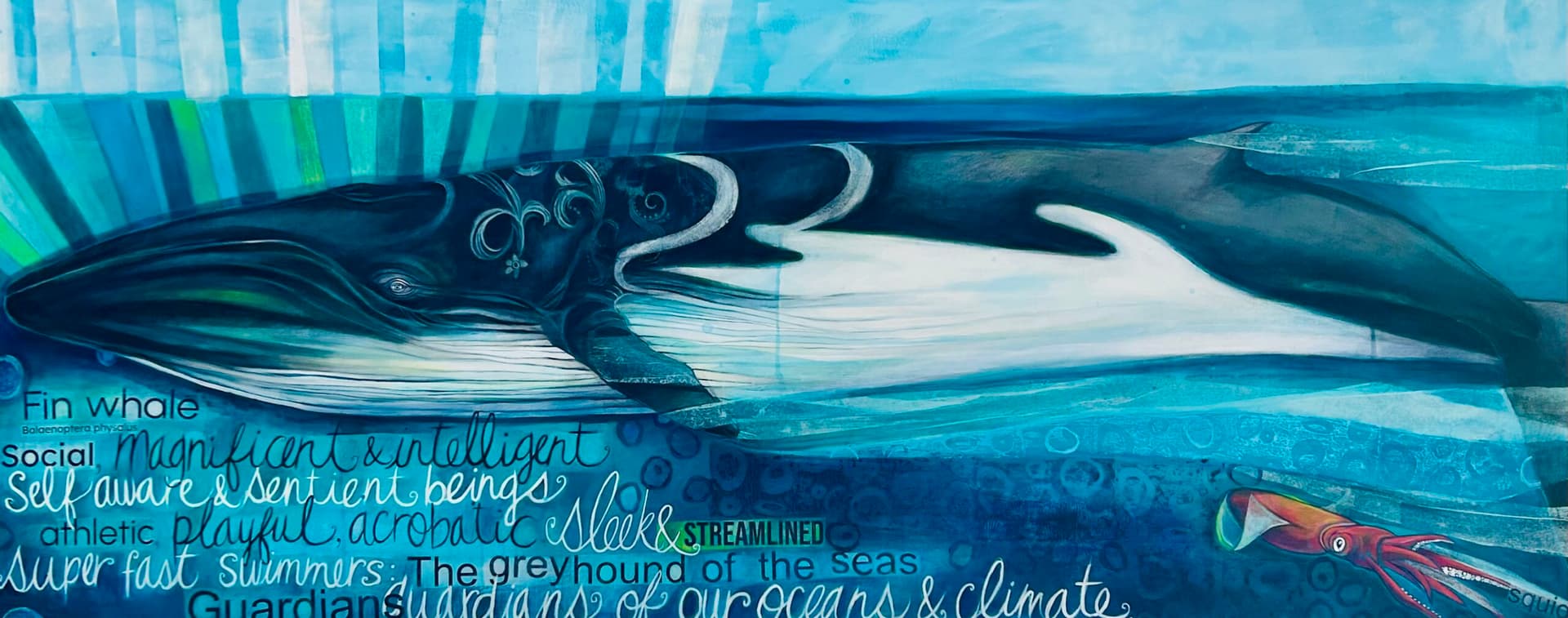 La puissante baleine à nageoire