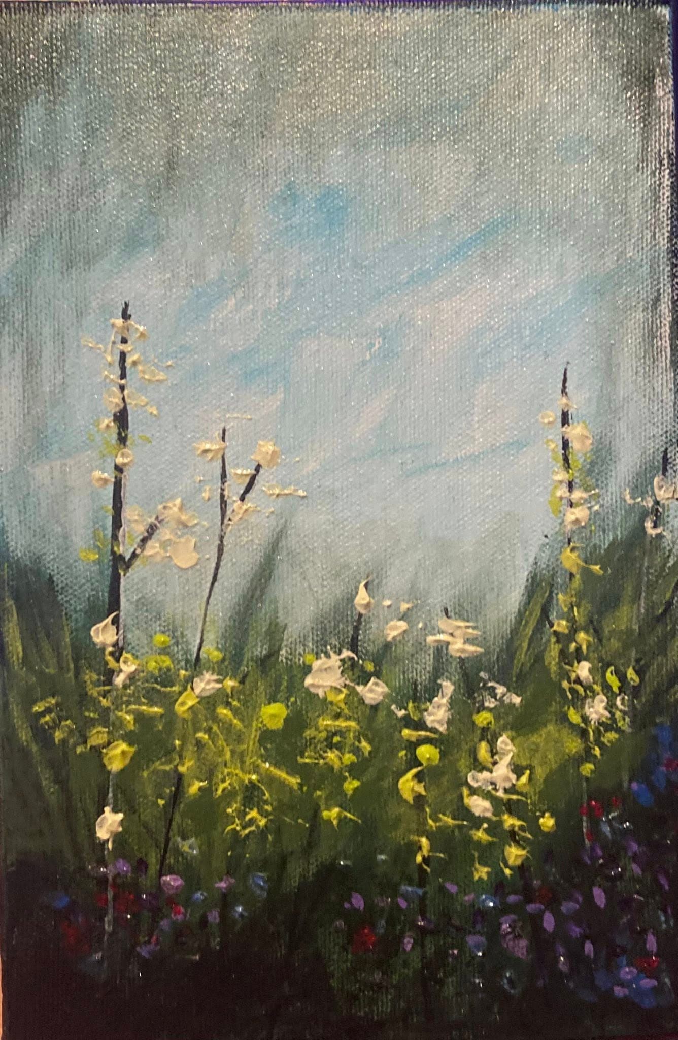 Morning Light