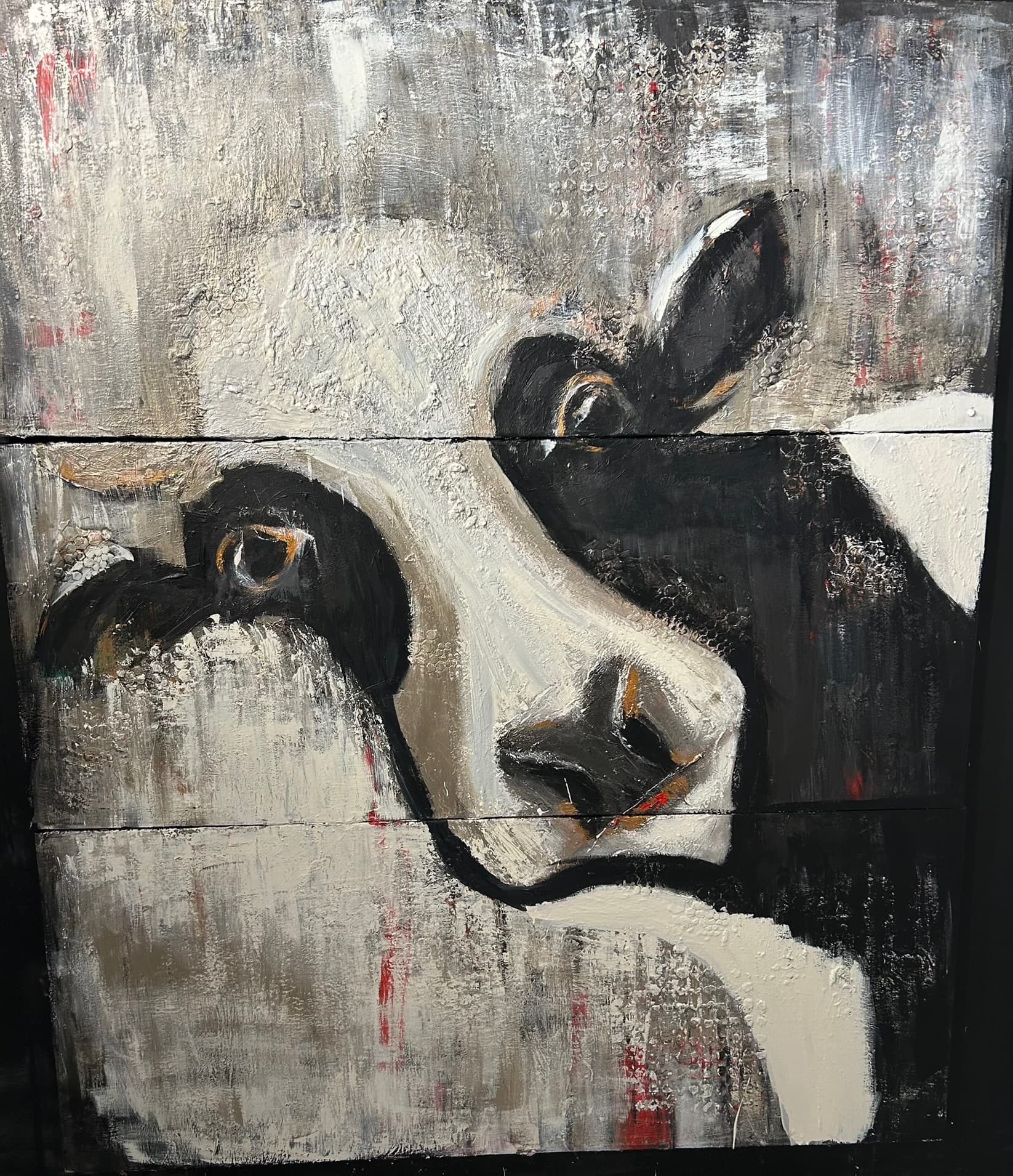 Curieuse