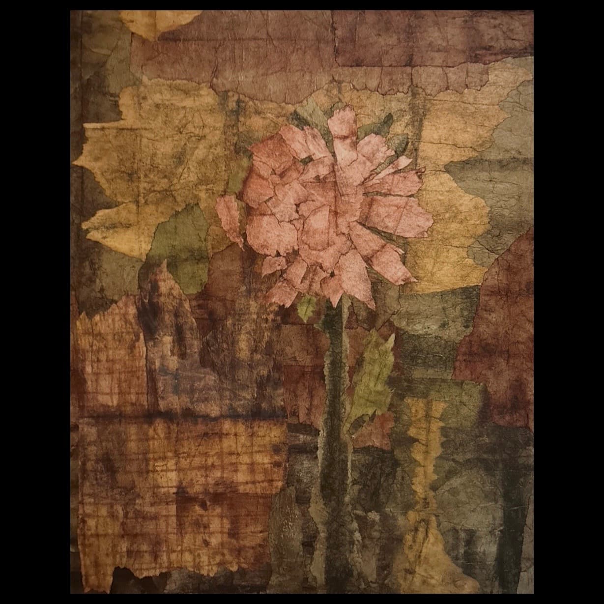 Lone Peony