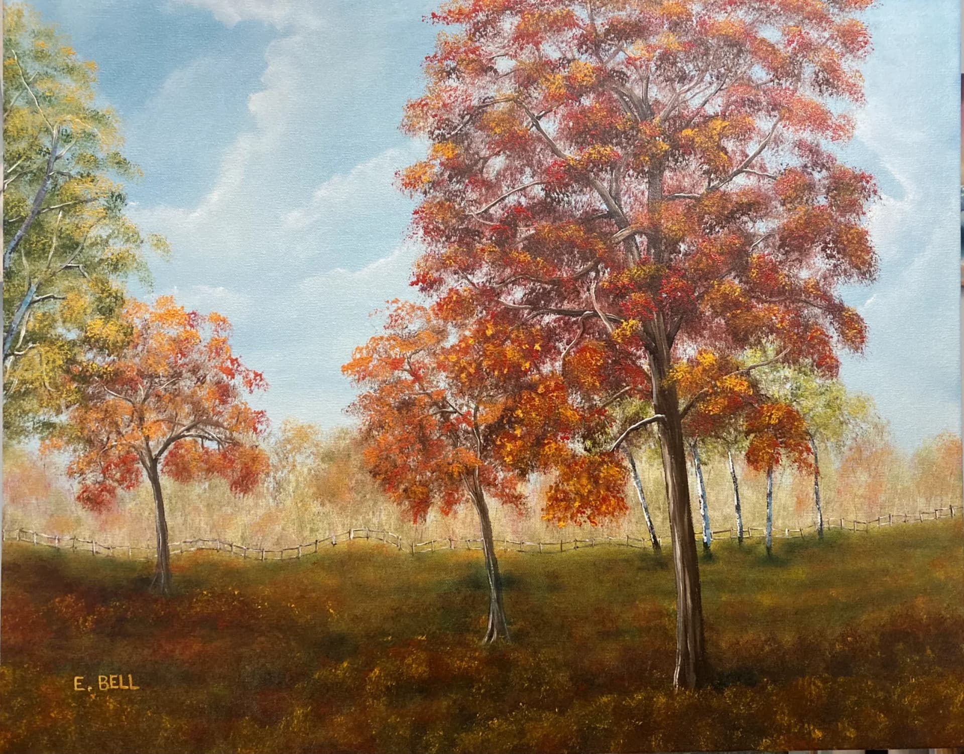 Autumn Pastures (1)