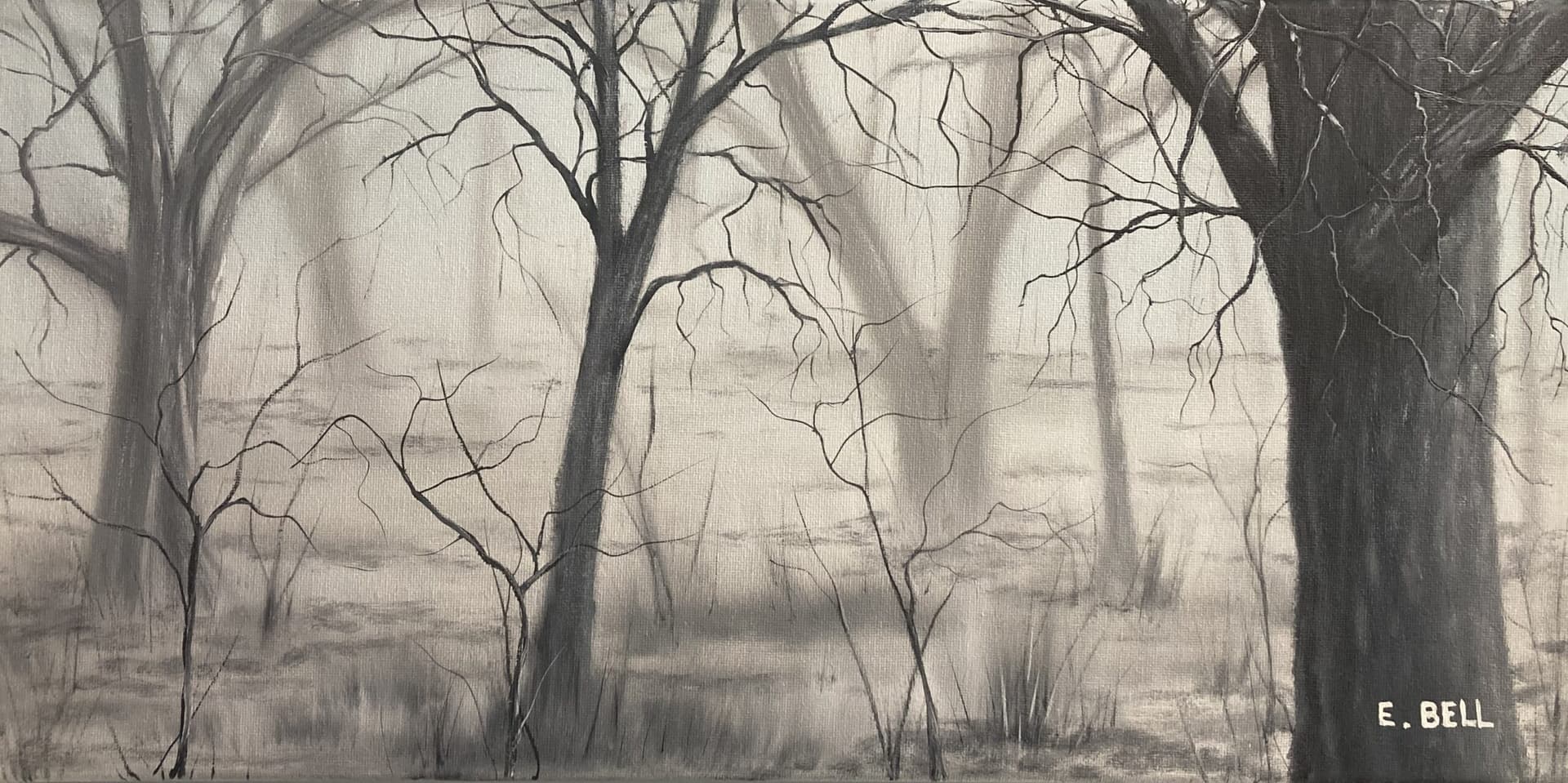 Black & White Woods (1)