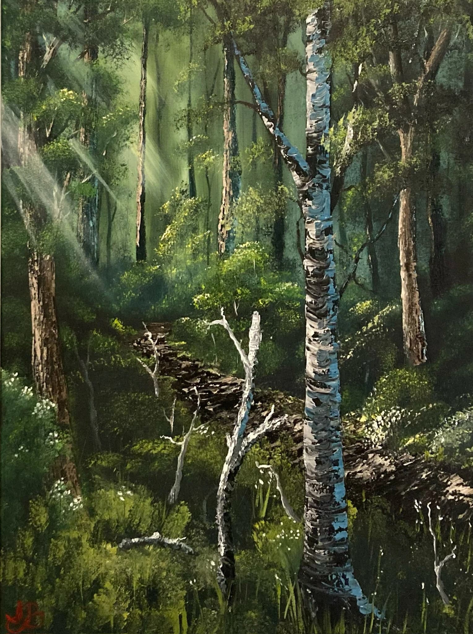 A Walk in the Woods