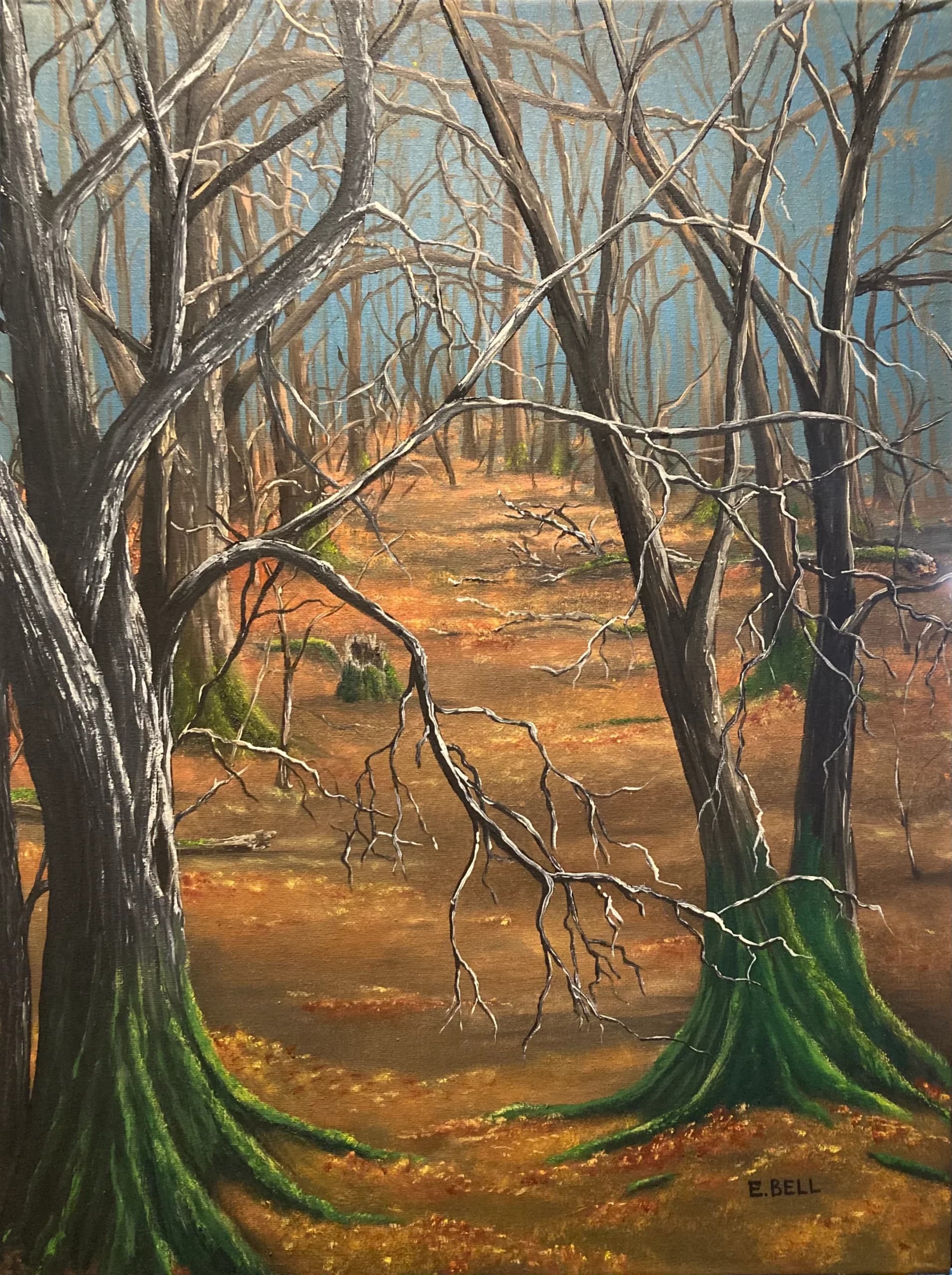 Mossy Trees