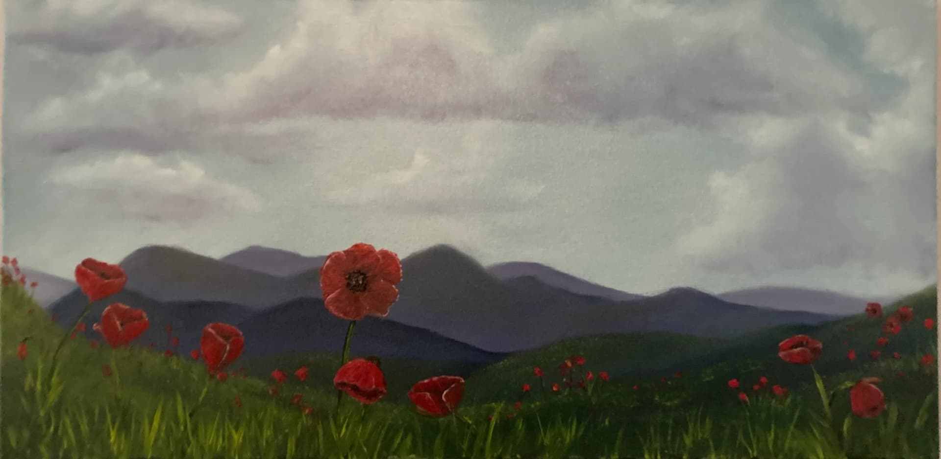 Poppies in the Foothills
