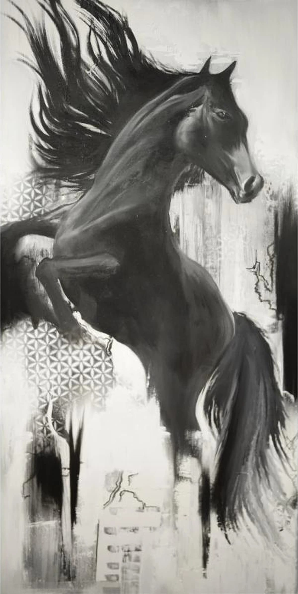 Wild Freedom