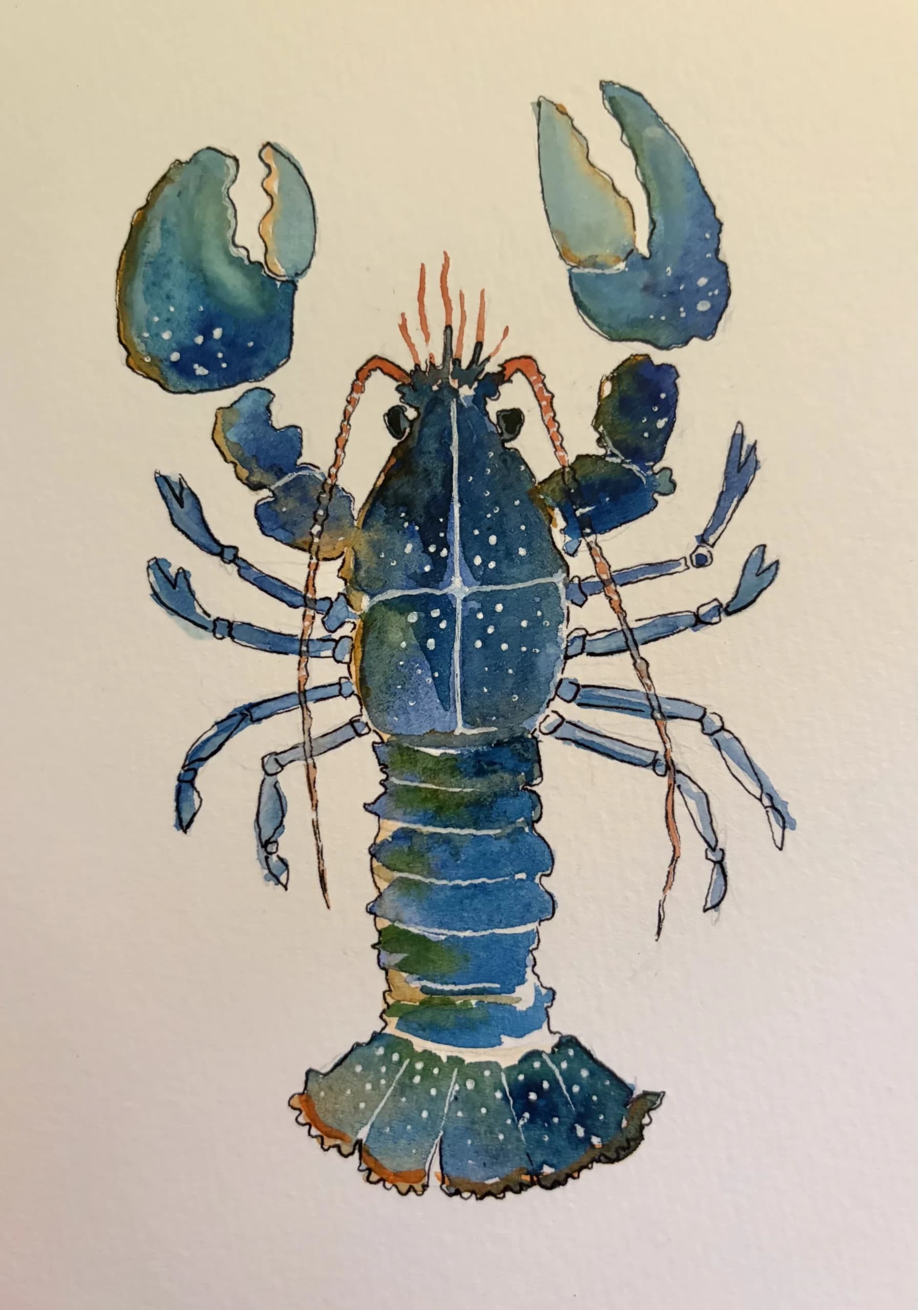 Artist-Homard des îles