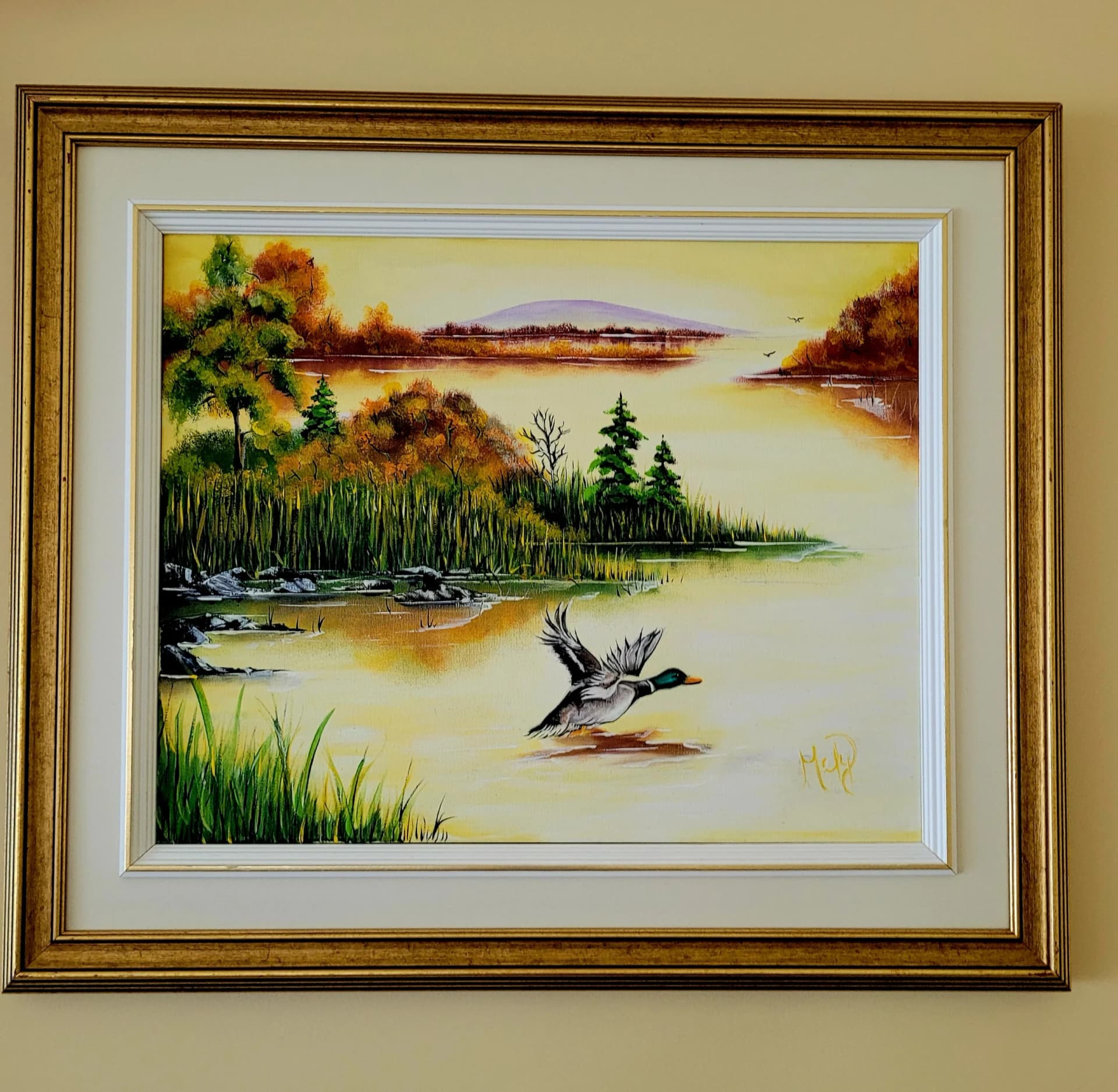Artist-̂le huard de Mr. Laplante