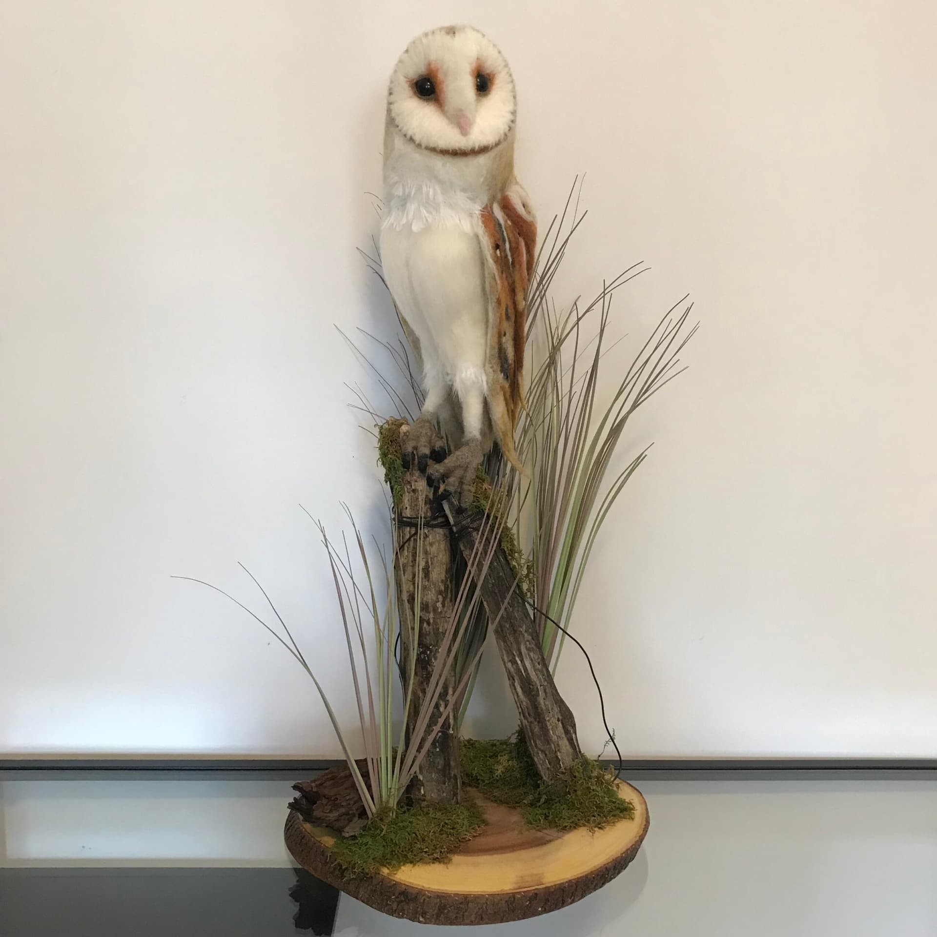 Artist-Attention