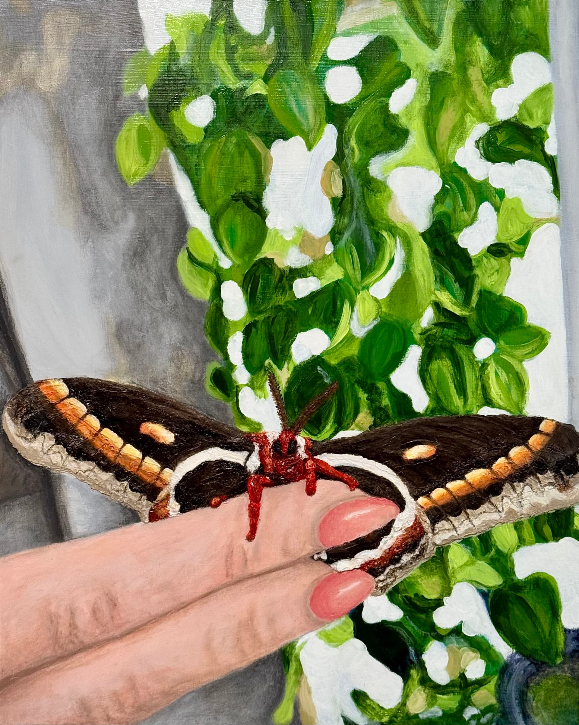 Artist-Cécropie