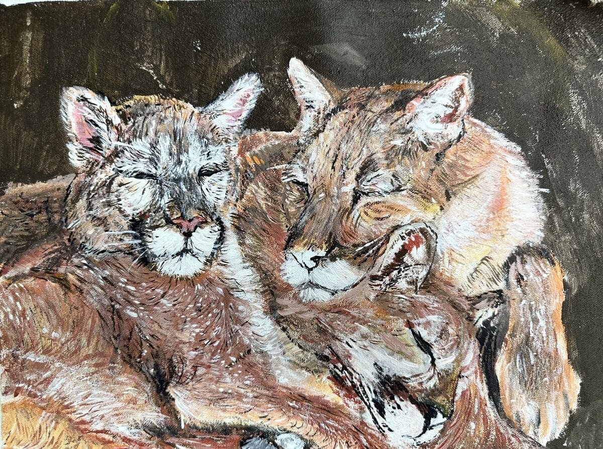 Artist-Félicité