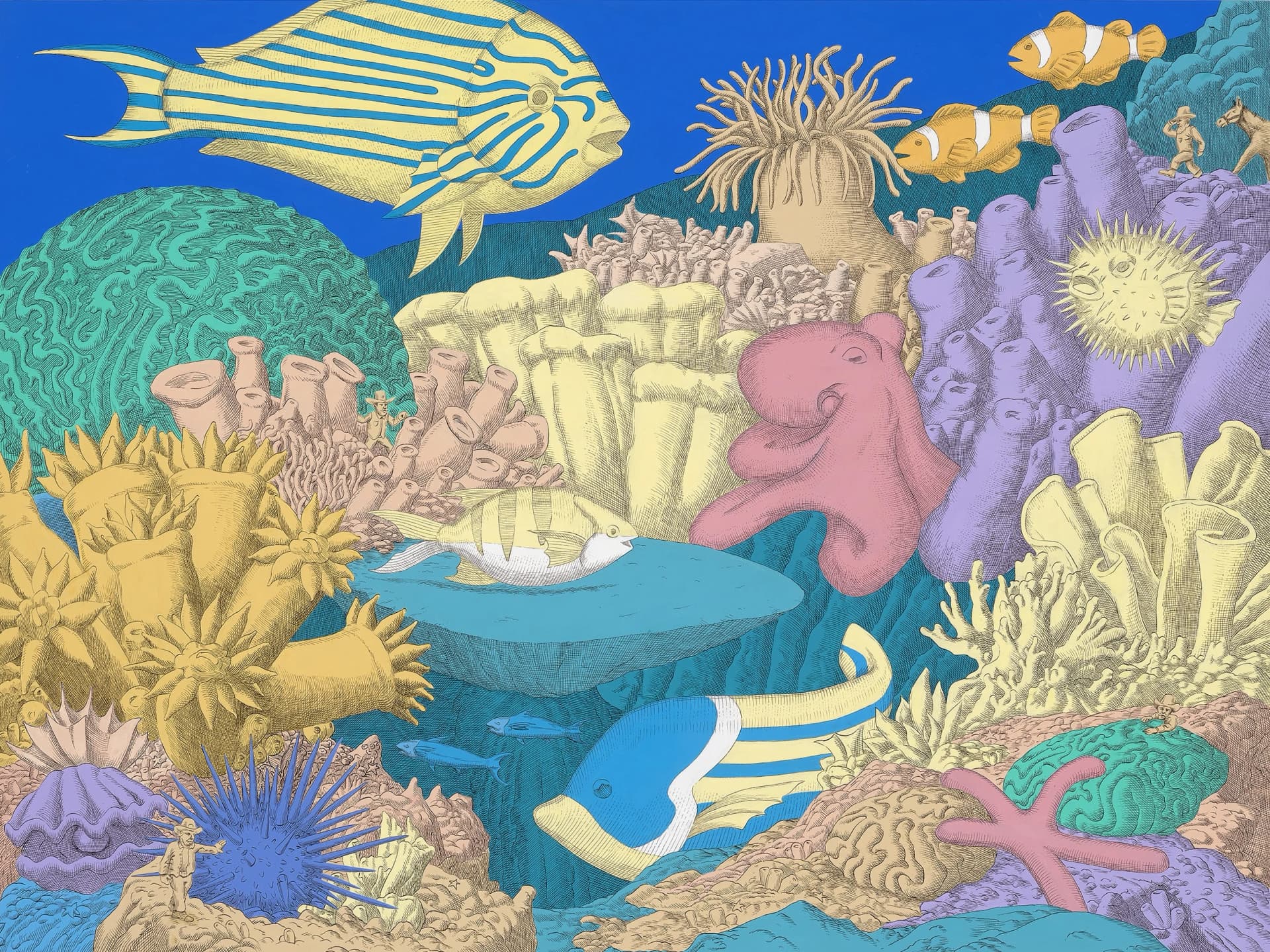 Coral Ranch