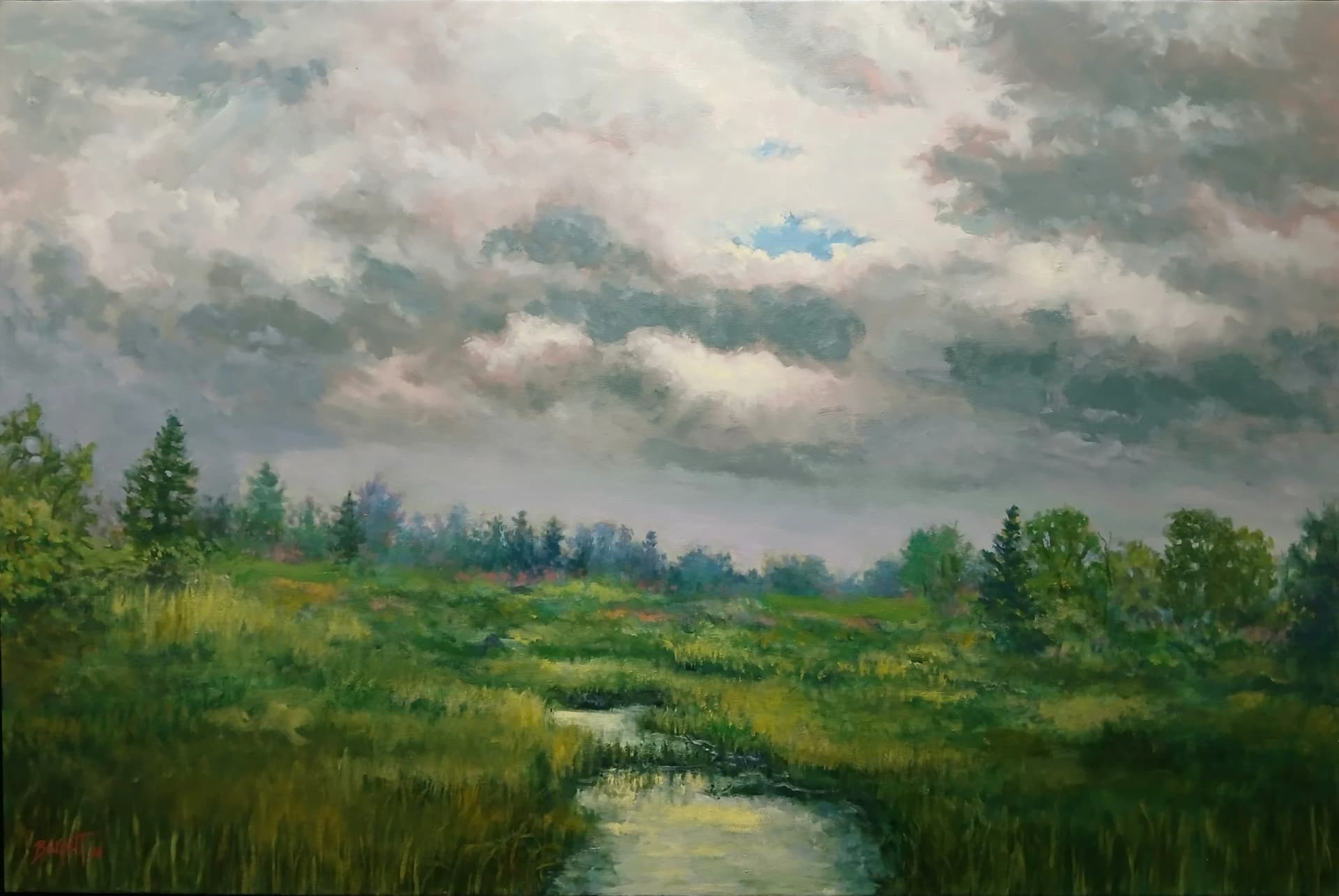 Artist-Reflections dans le ruisseau de la prairie