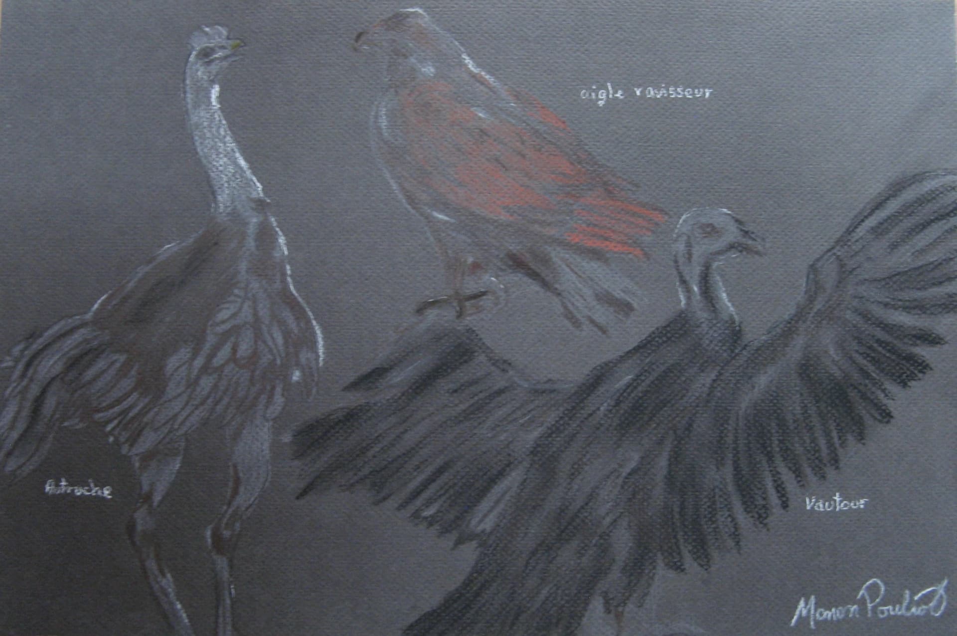 Artist-Oiseaux
