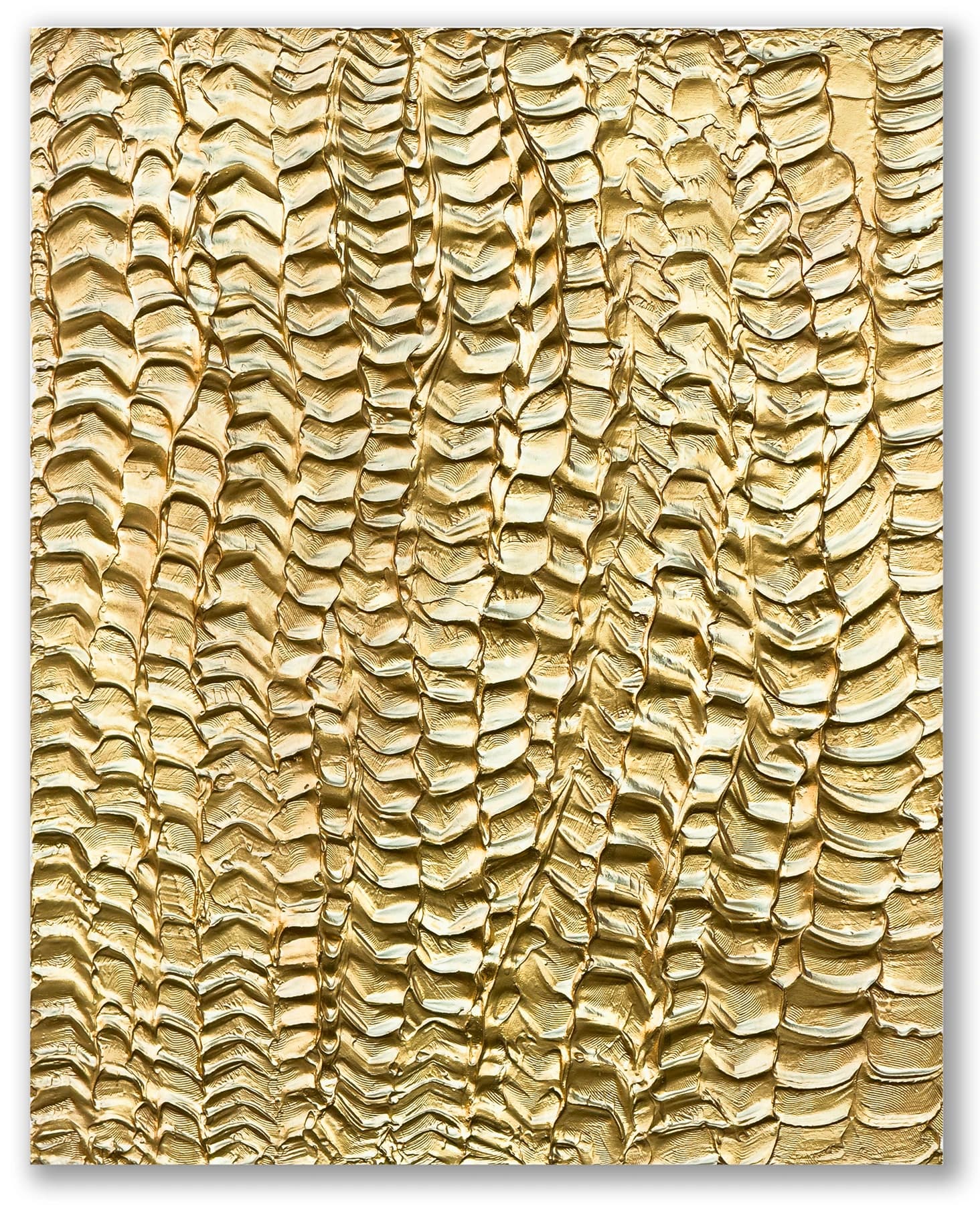 Ecaille d'or du crocodile