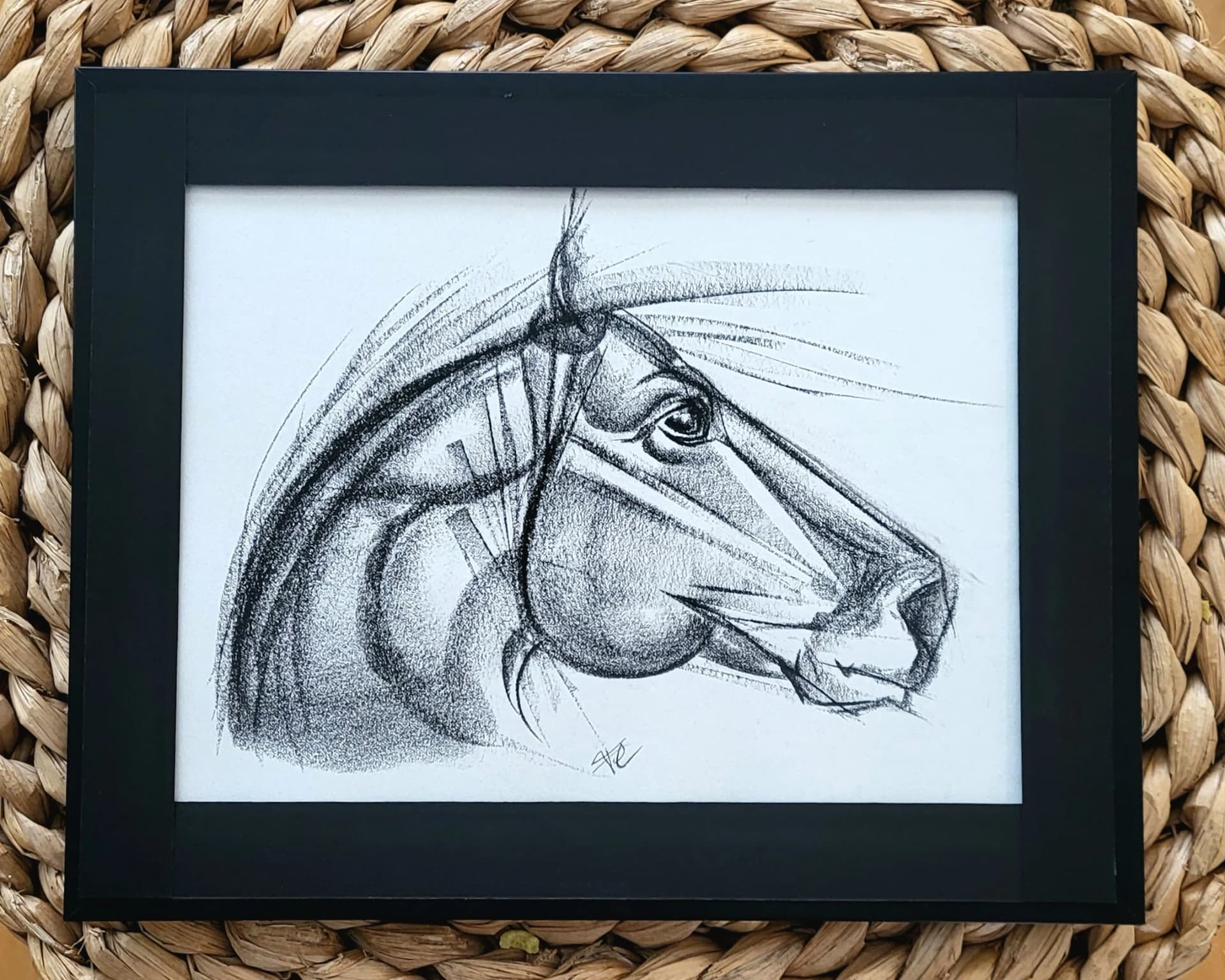 Belle tête
