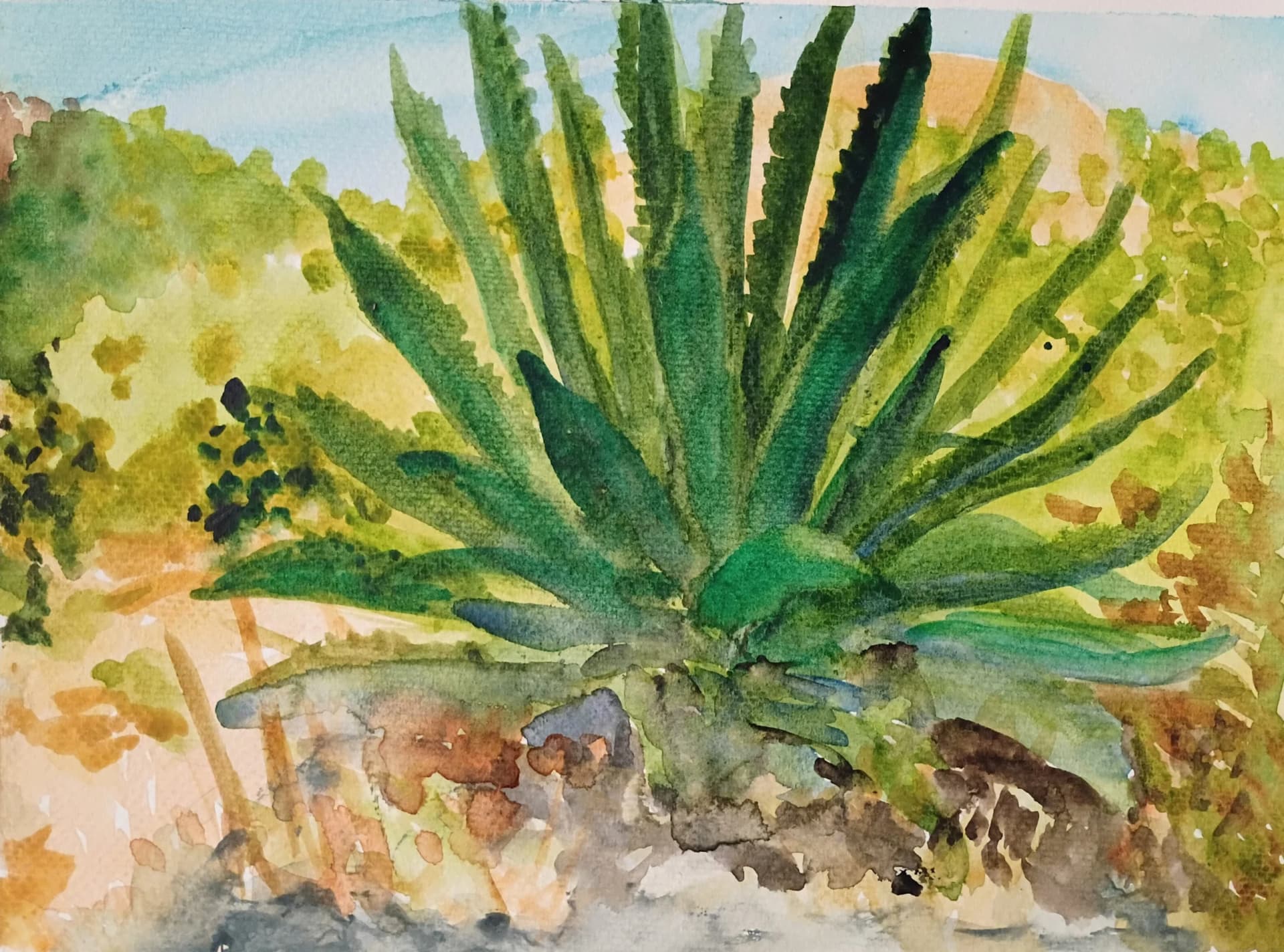 Giant Succulent