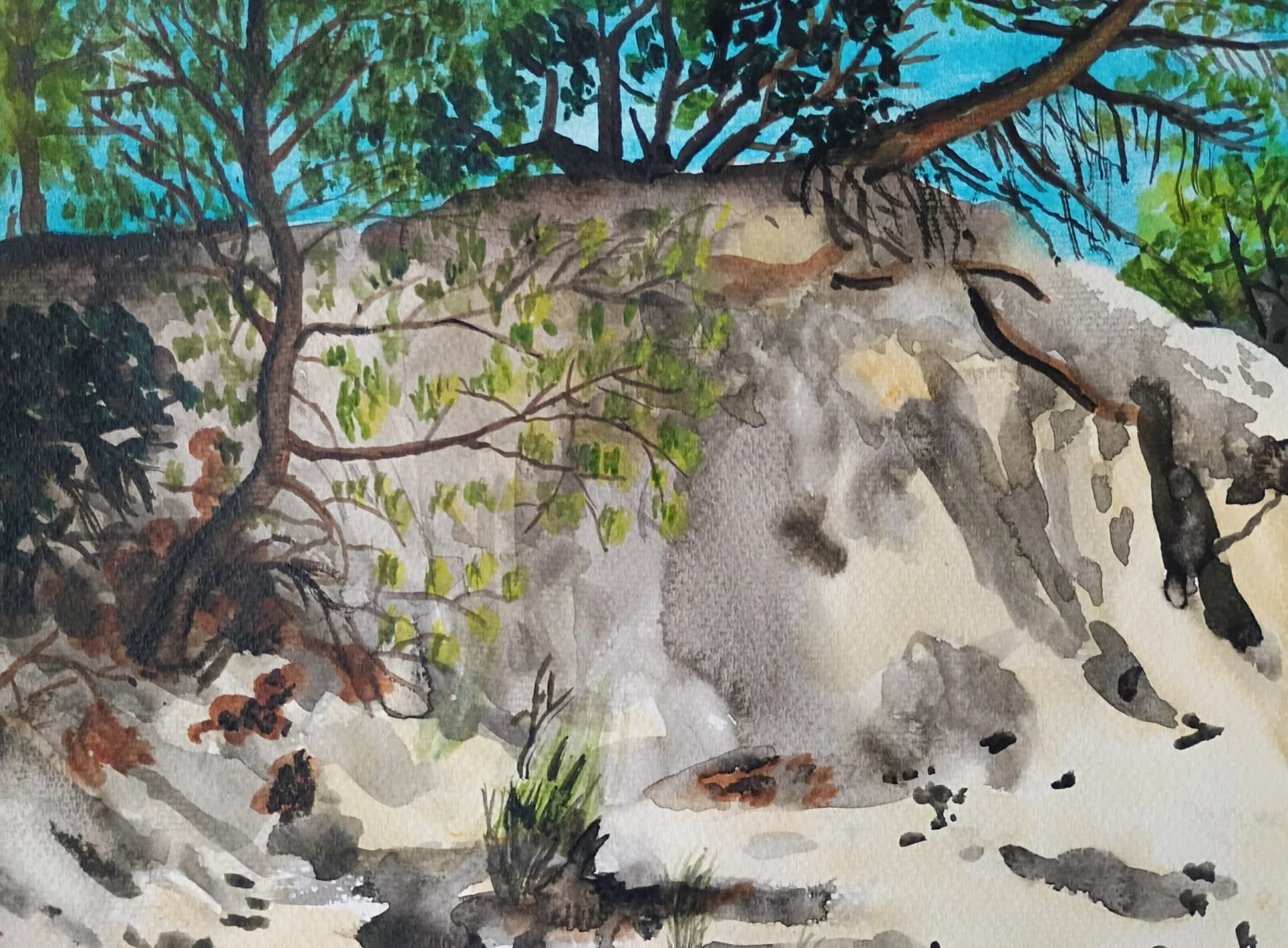Dried Creek Bed