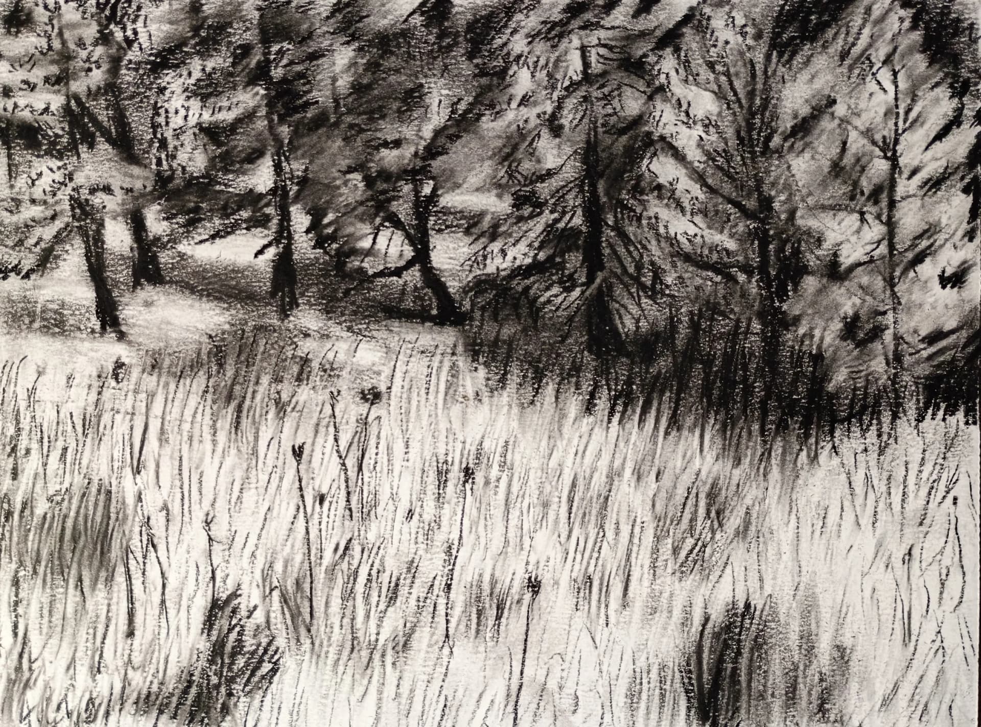 Meadow's Edge