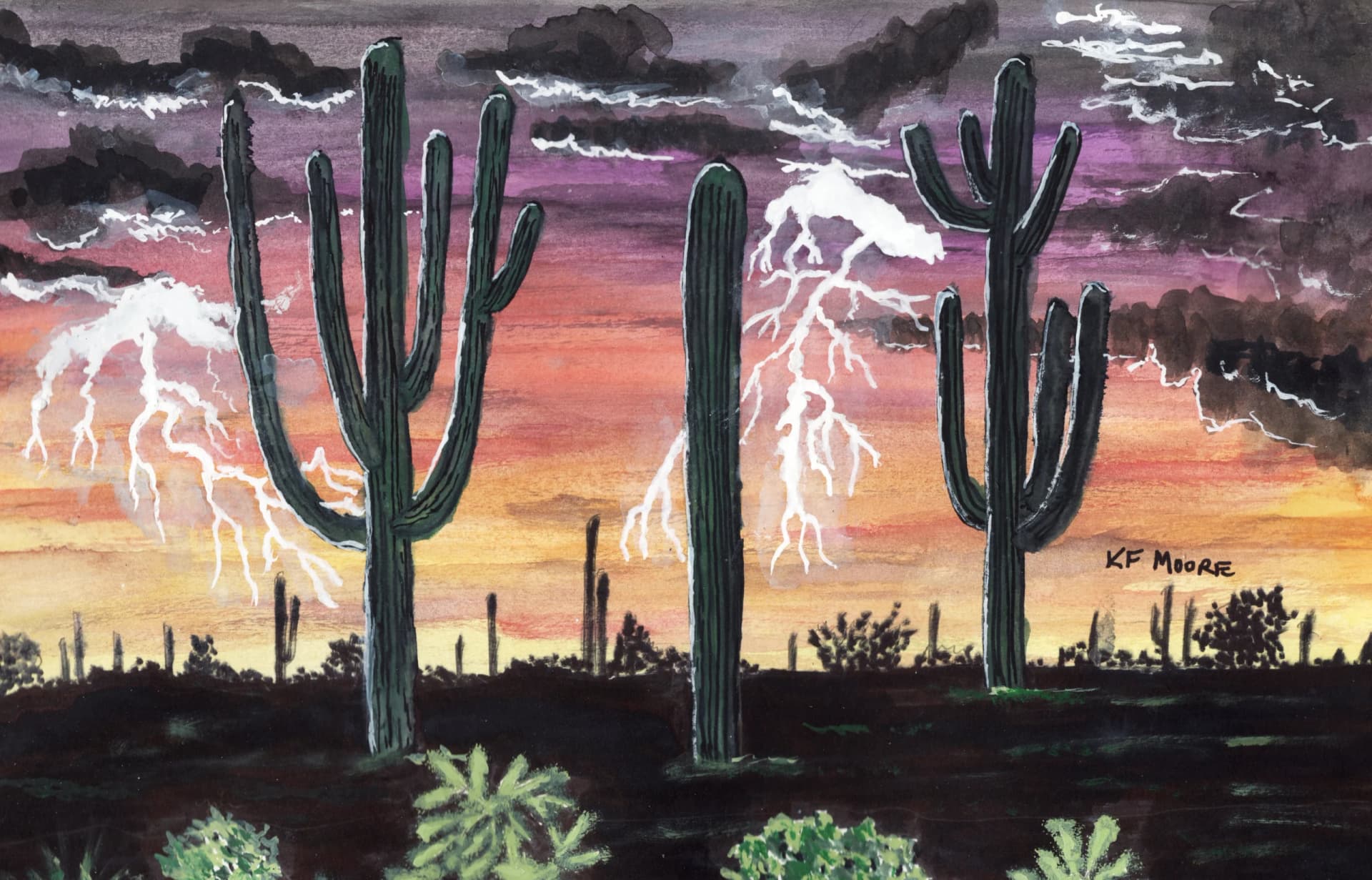 Artist-Sonoran Light Show