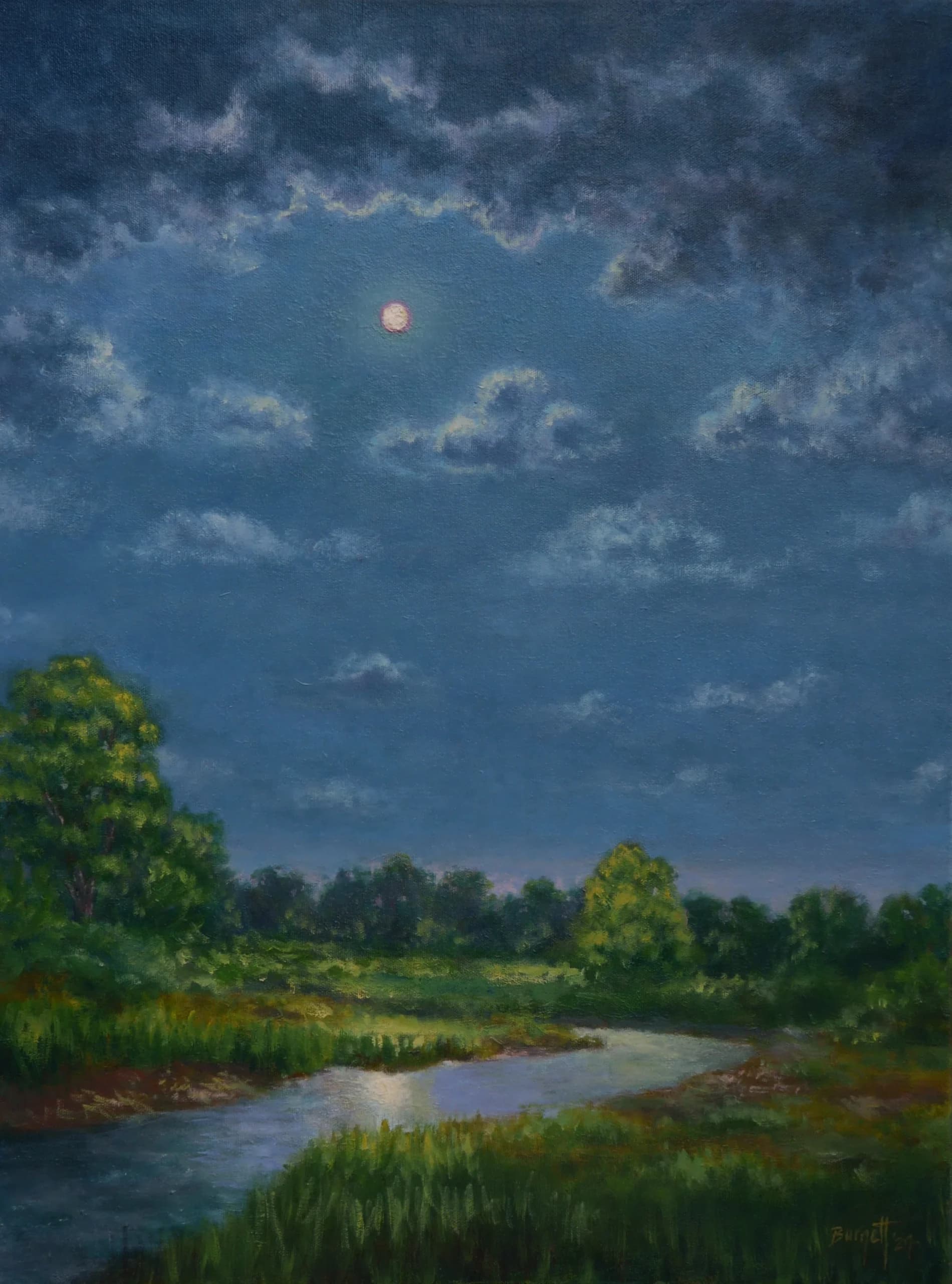 Artist-Sous le soleil d'argent